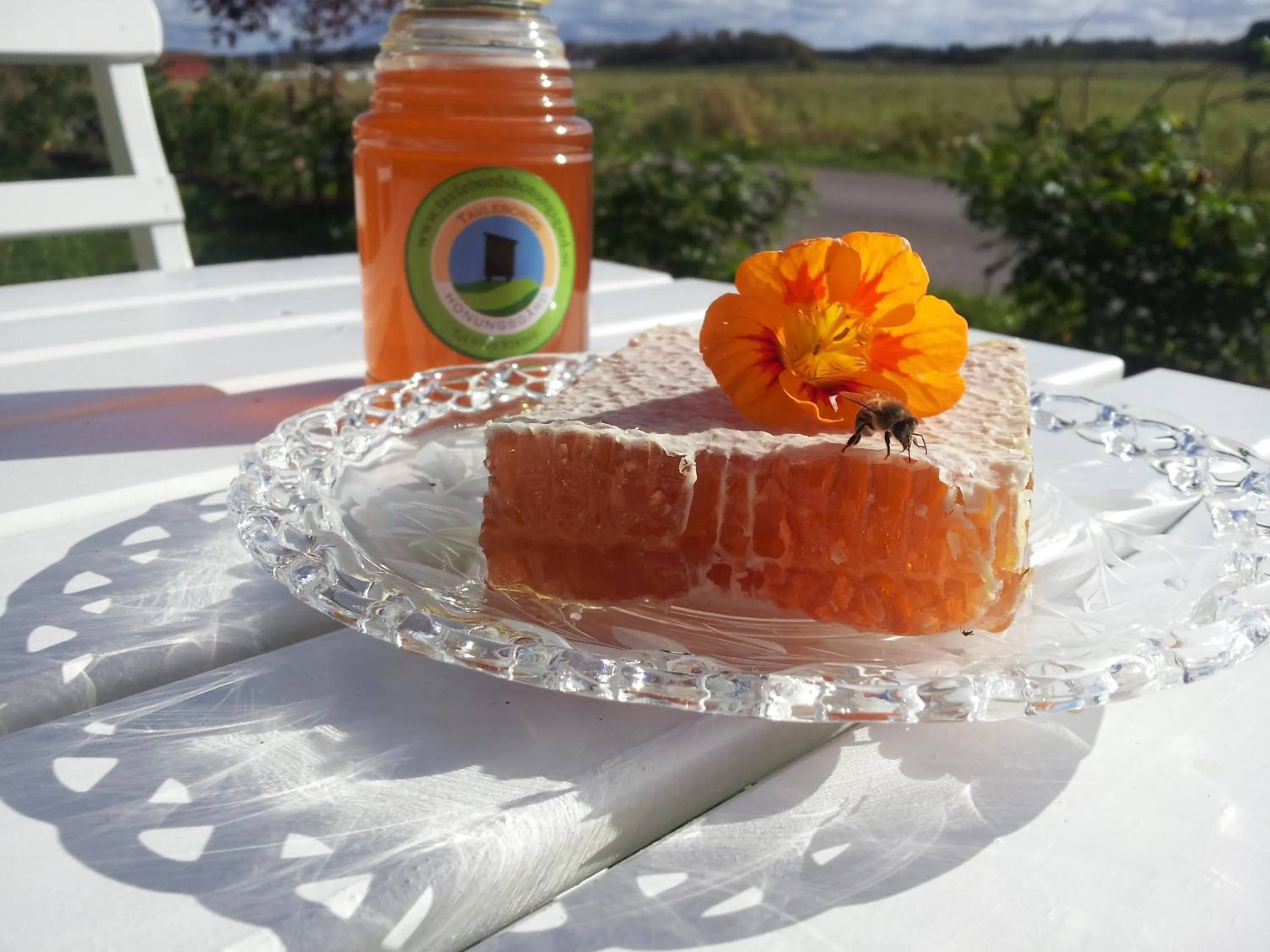 Summer in Tavlebords Honungsgård