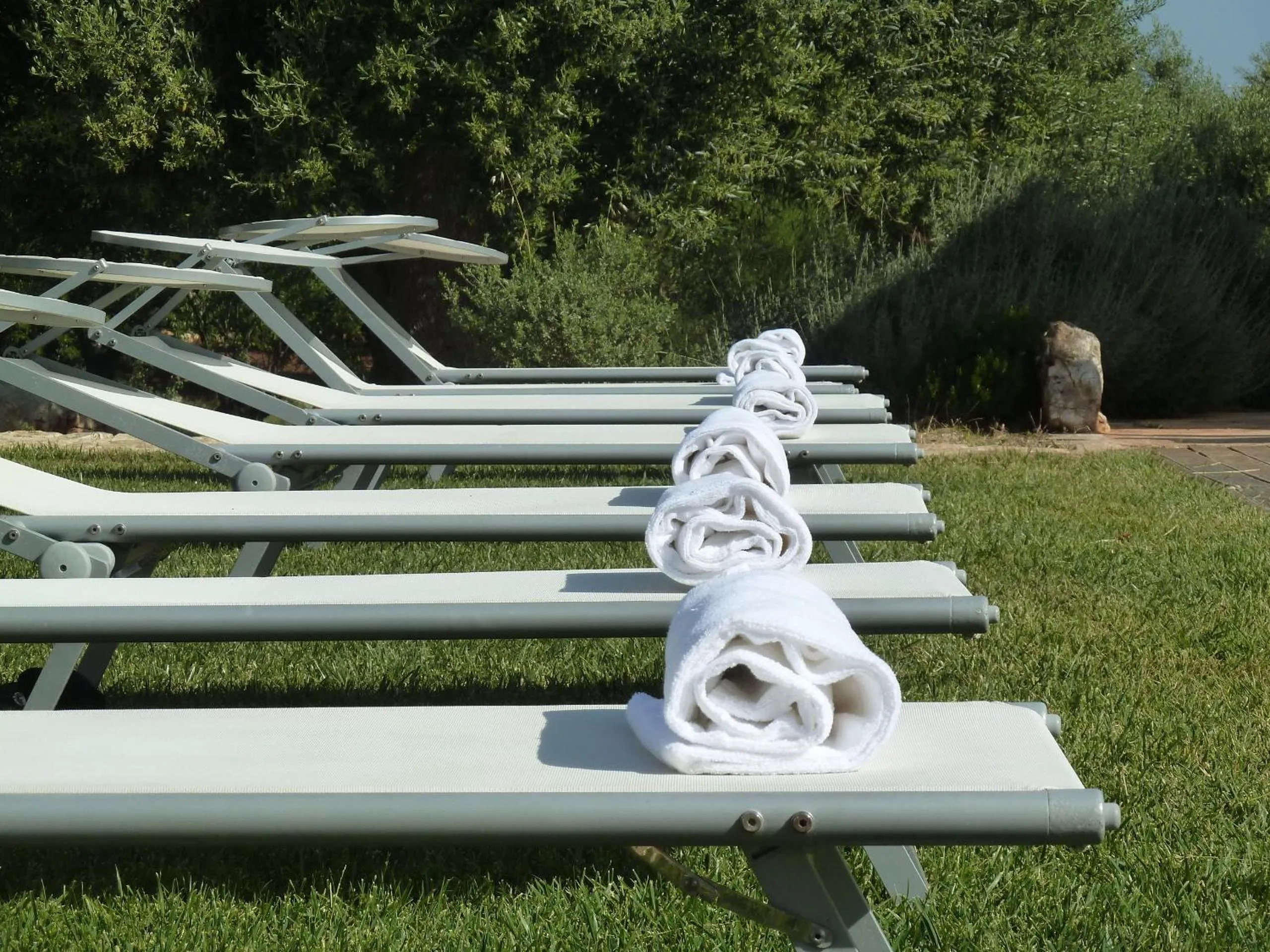 Garden in B&B Don Giovanni Monopoli