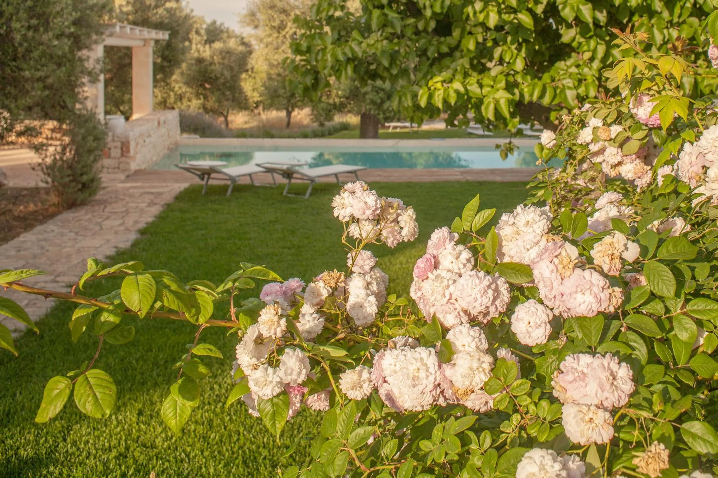 Garden in B&B Don Giovanni Monopoli