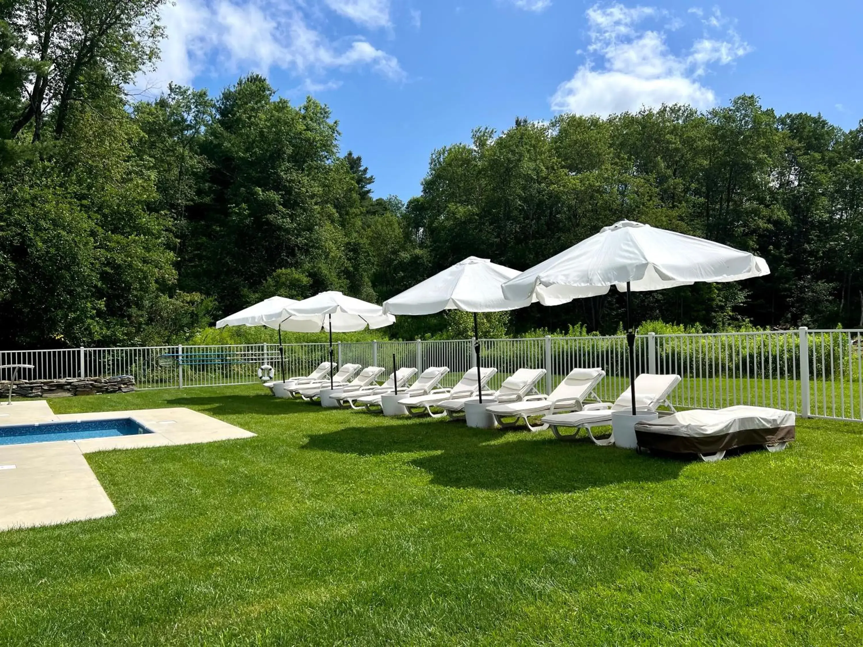 Swimming pool in The Nutmeg Vermont Swimming pool in The Nutmeg Vermont