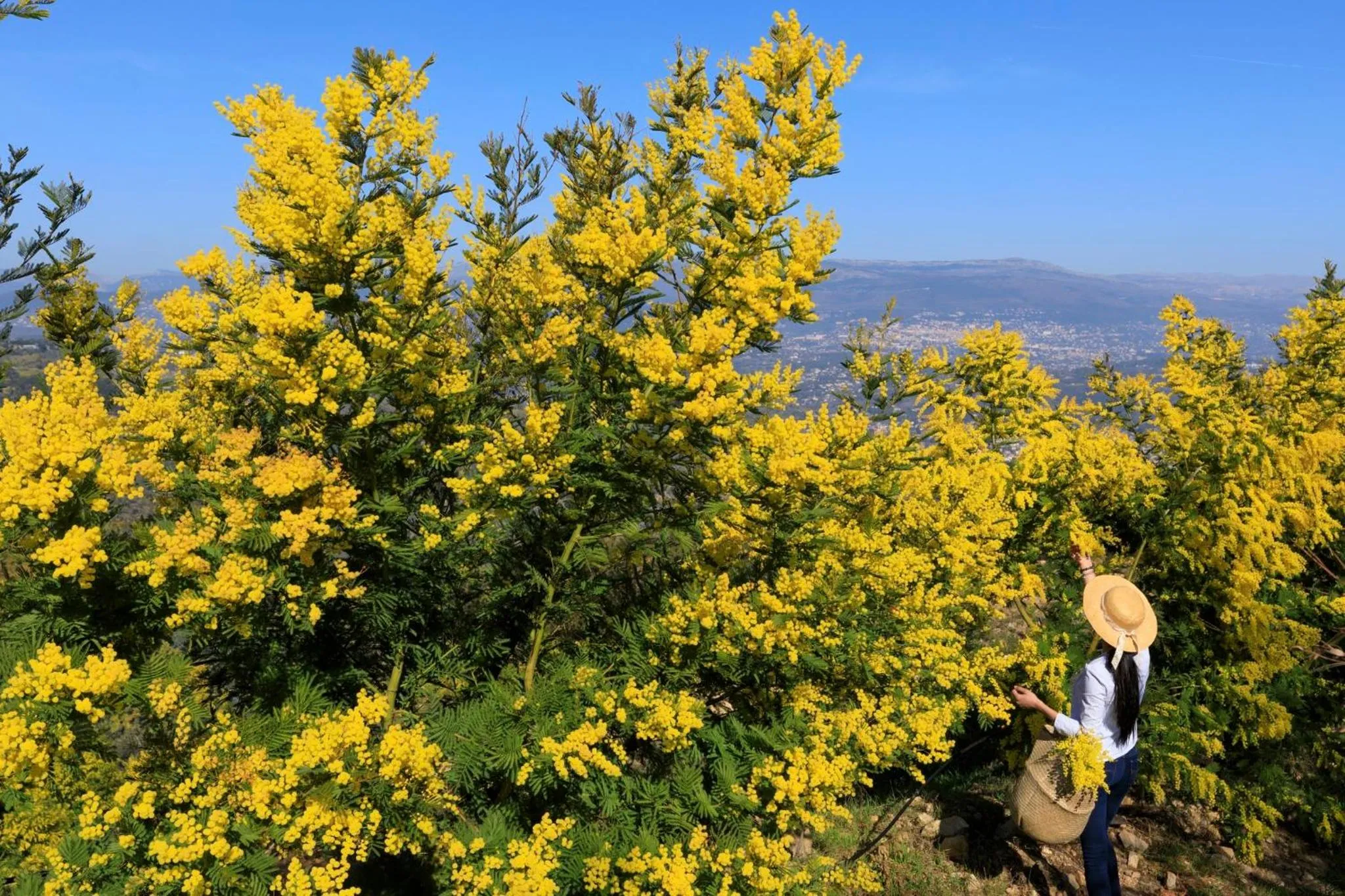 Nearby landmark in Staybridge Suites - Cannes Centre by IHG