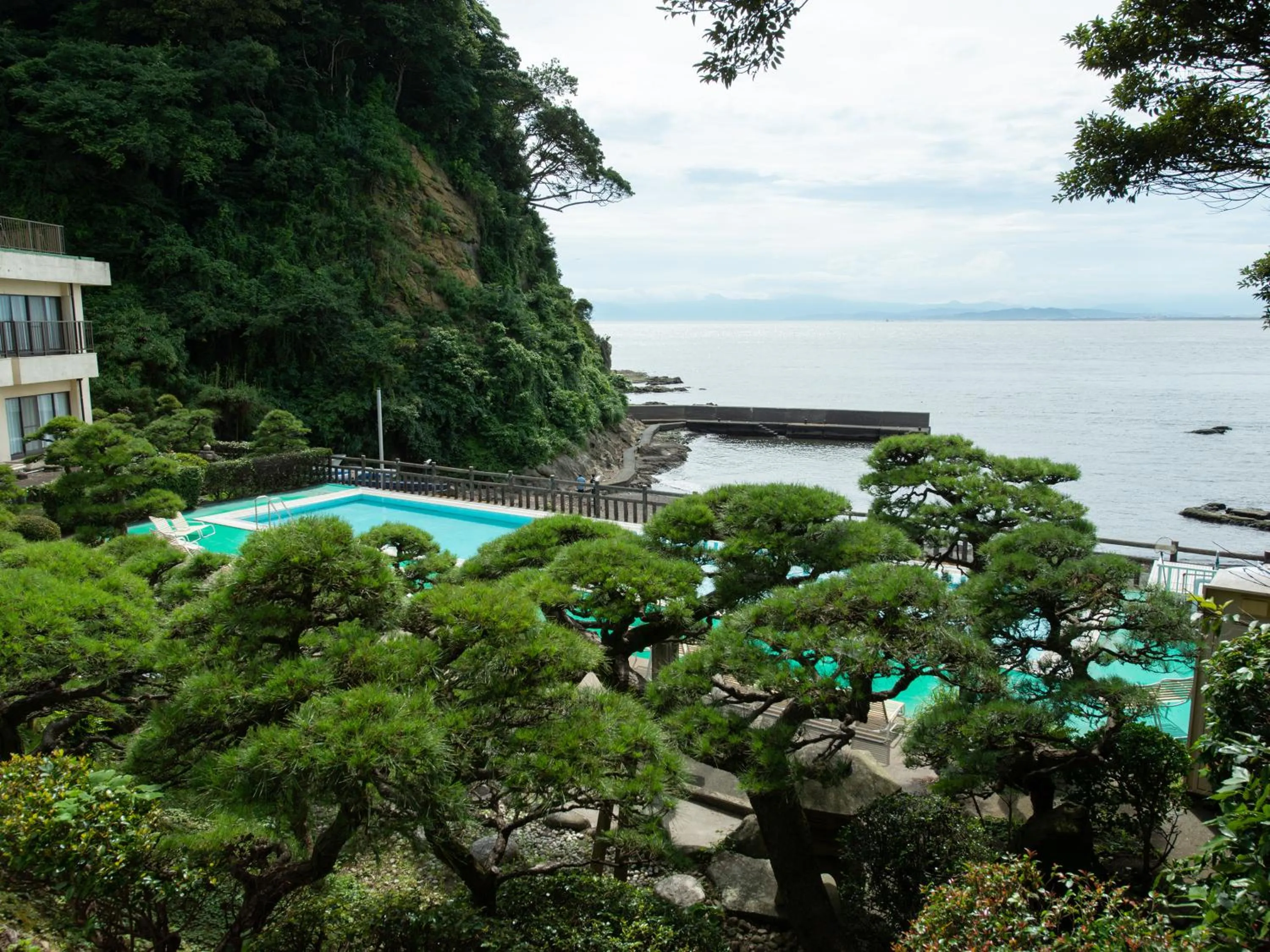 Photo of the whole room in Iwamotoro