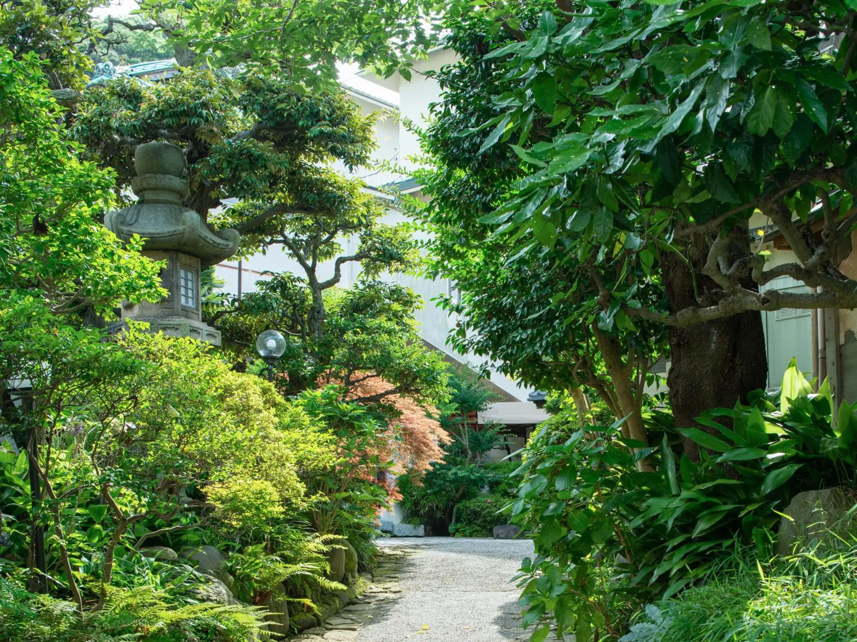 Property building in Iwamotoro Property building in Iwamotoro