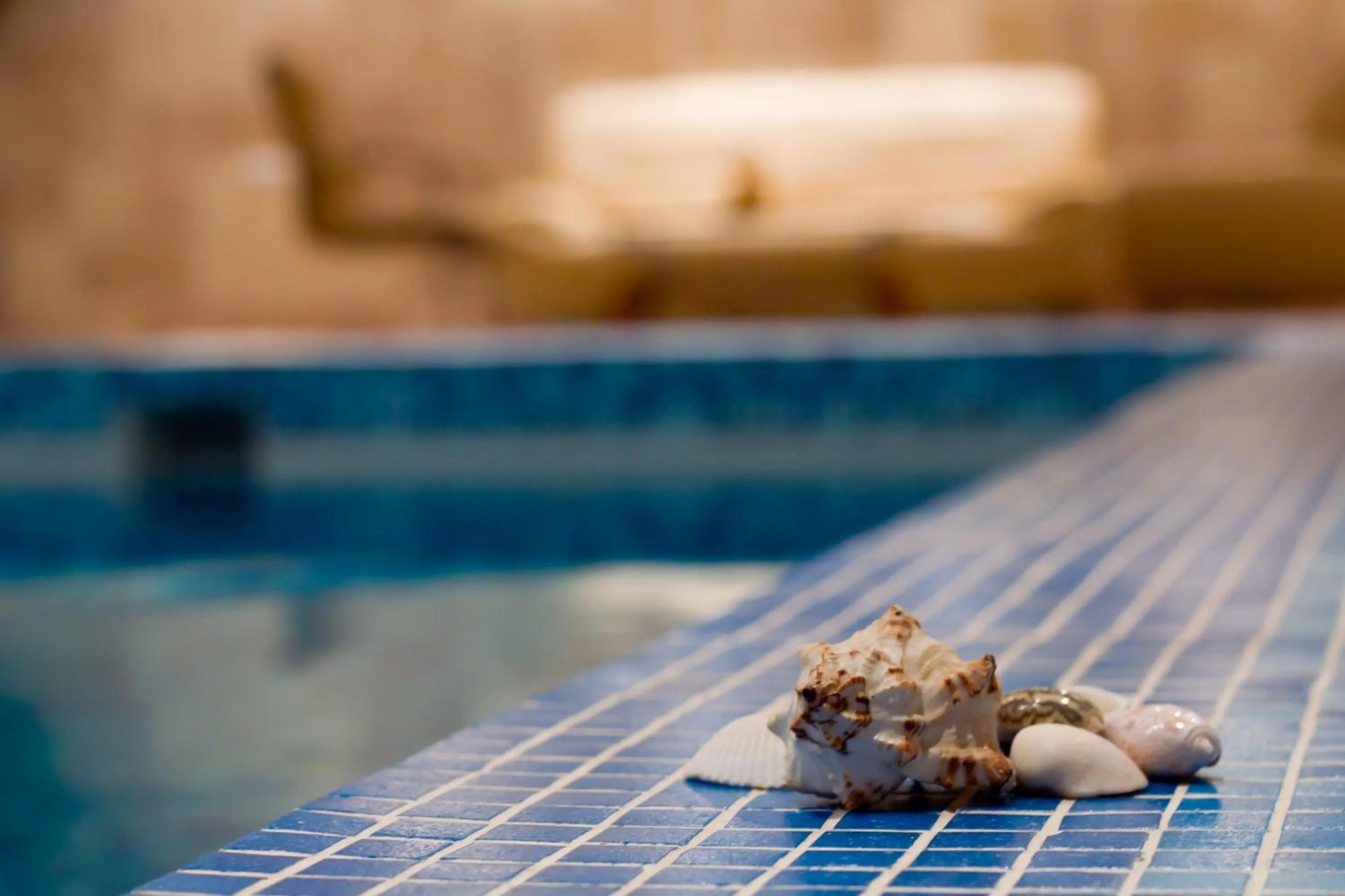 Spa and wellness centre/facilities in Armenian Royal Palace