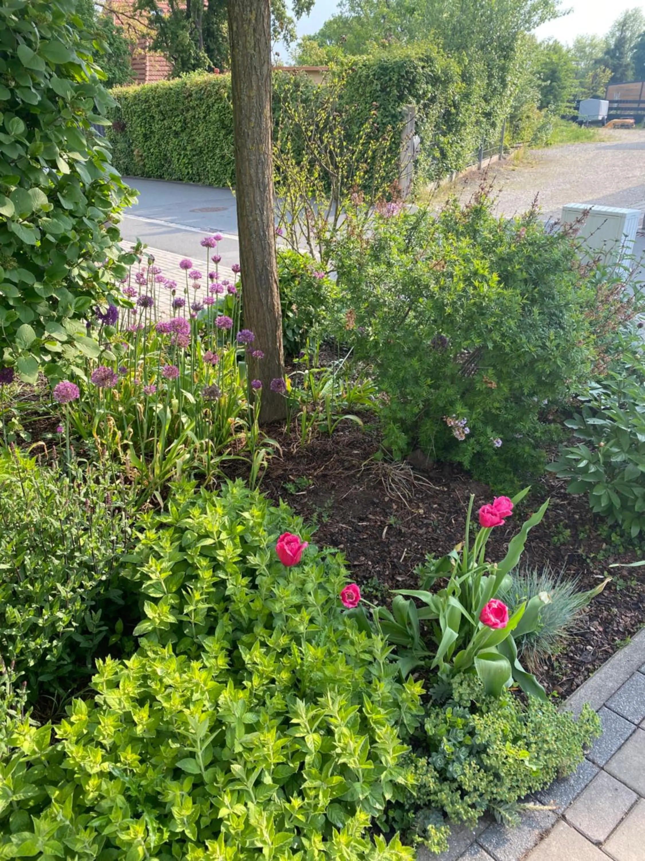 Garden in Atrium Garni