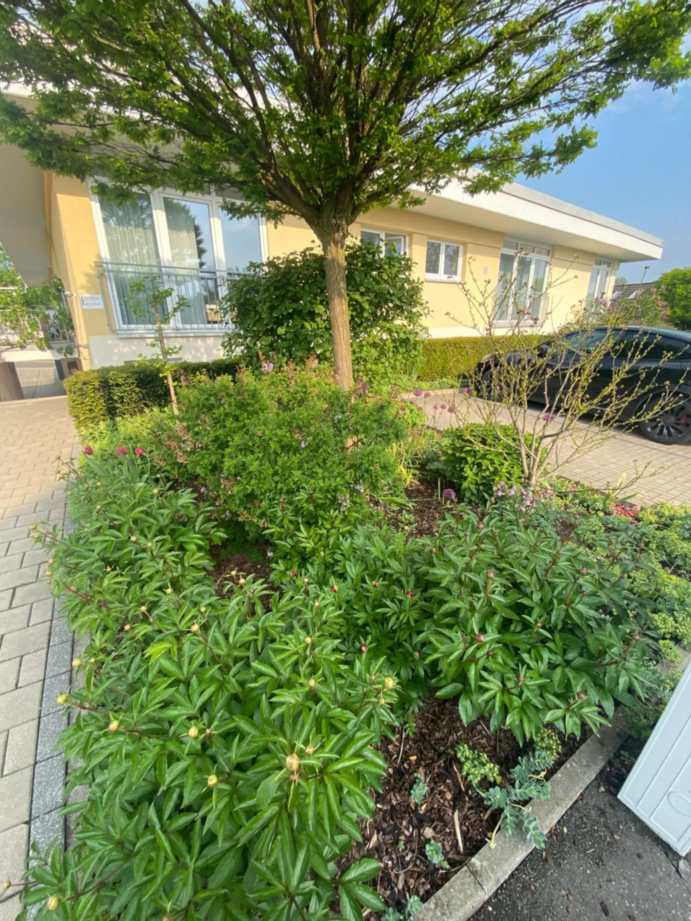 Property building in Atrium Garni