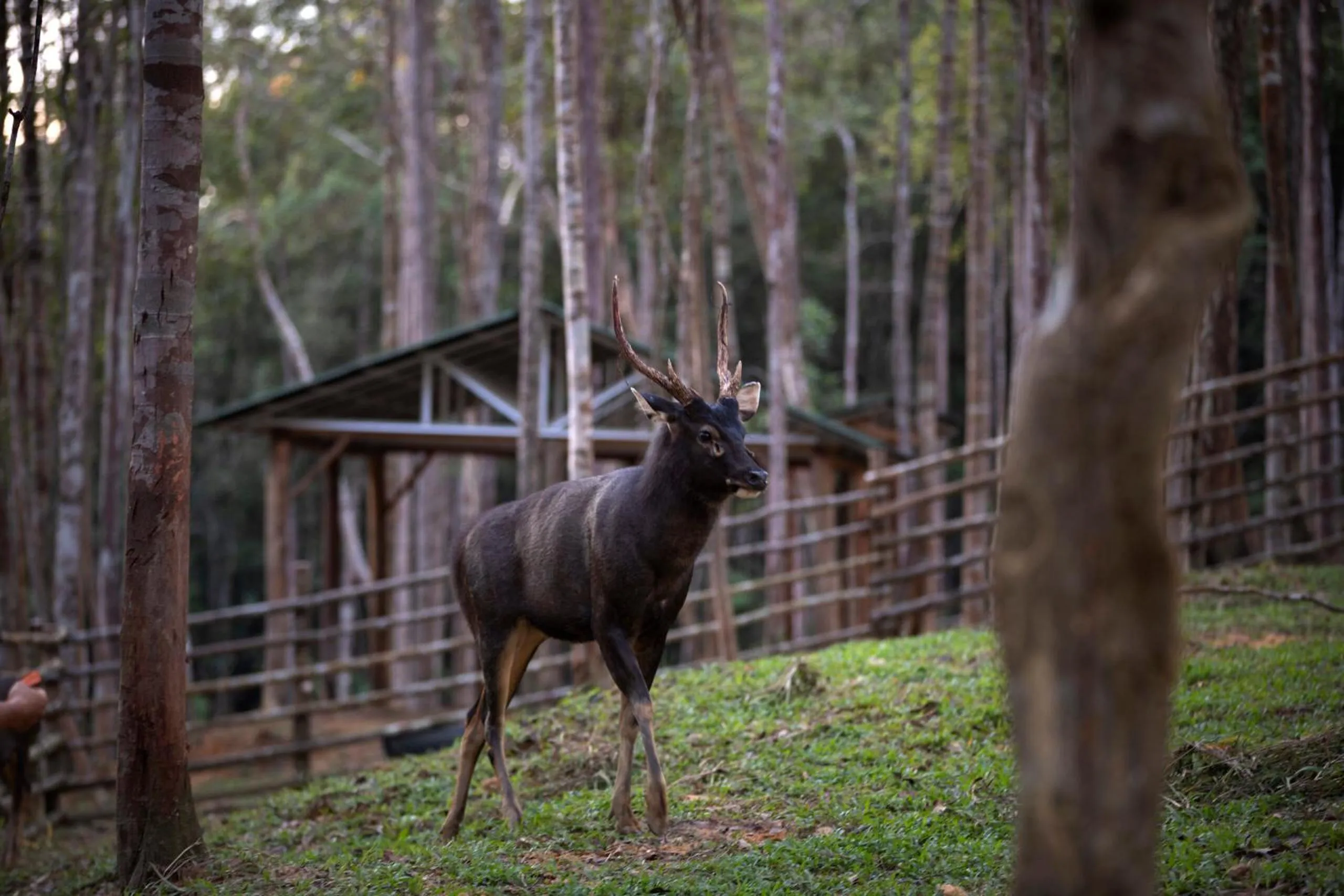 Activities in Panbil Residence Serviced Apartment