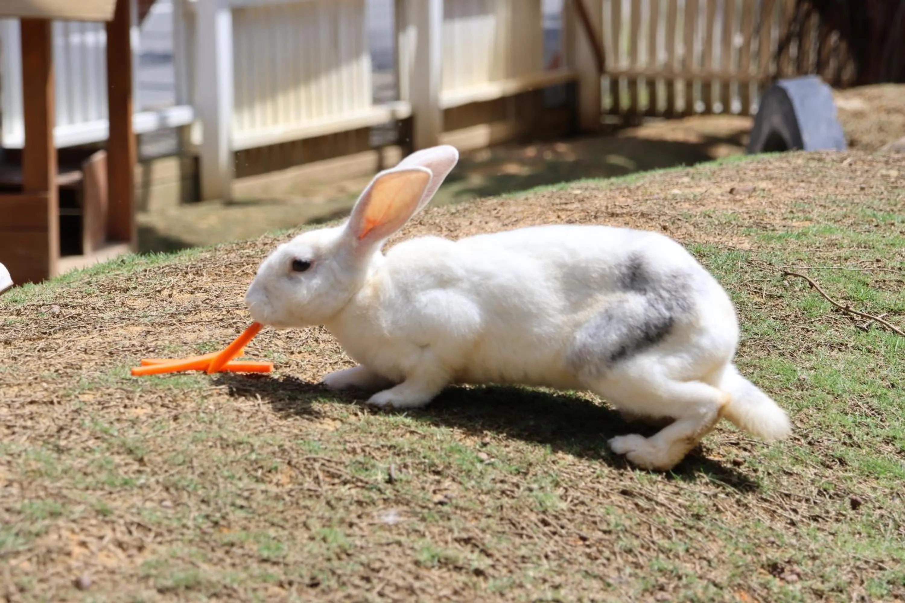 Activities in Panbil Residence Serviced Apartment