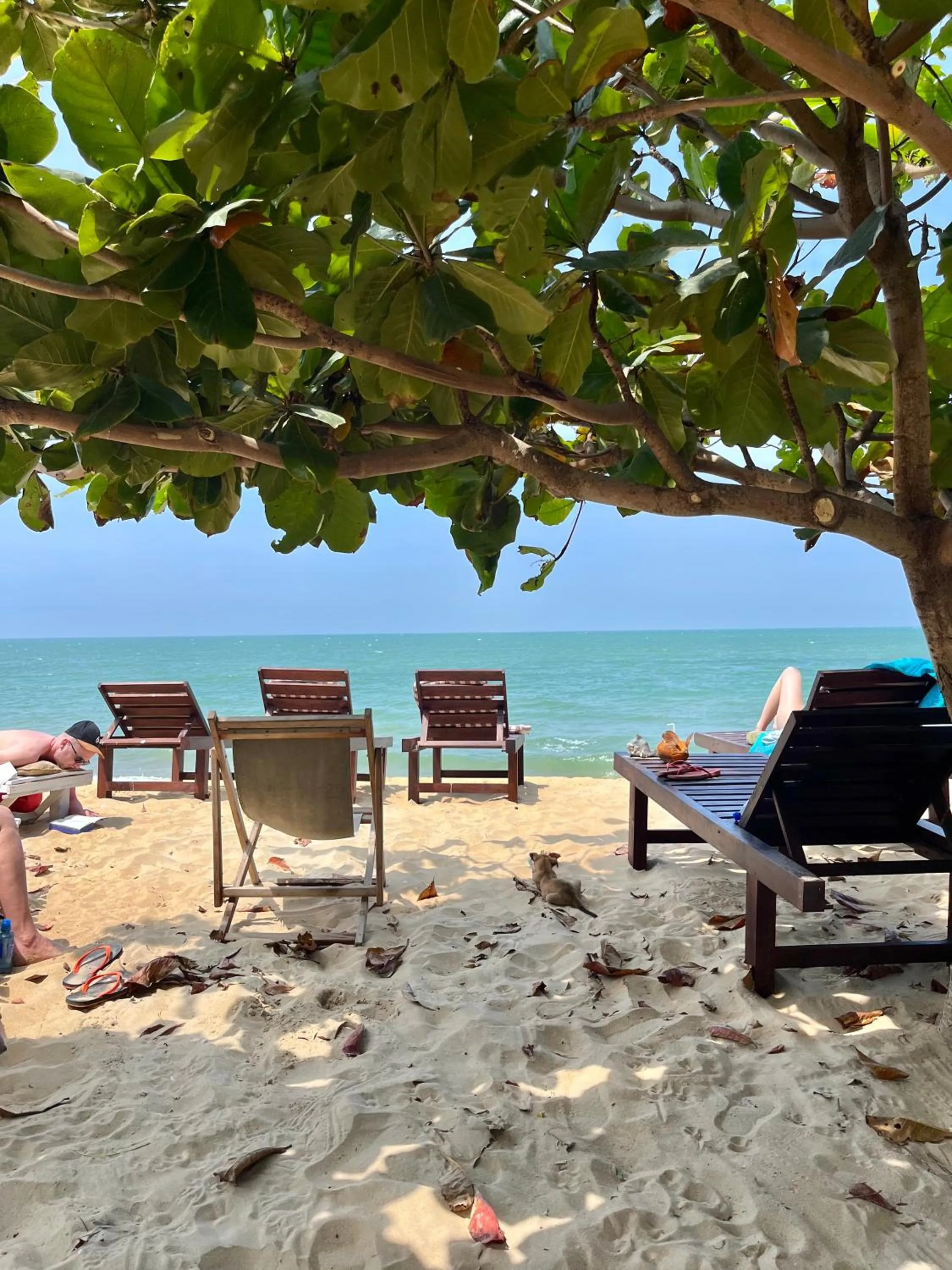 Windy Waves Beach Nature Resort & Kite School