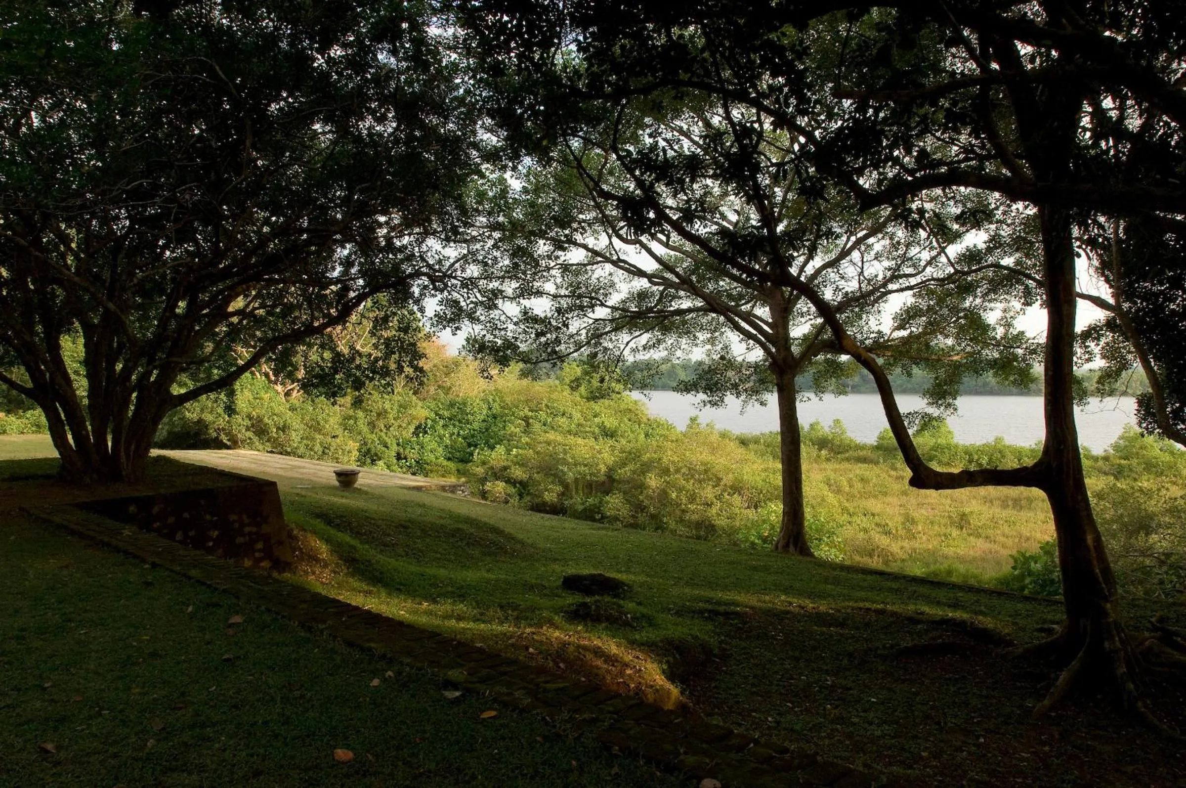 Natural landscape in Lunuganga Estate