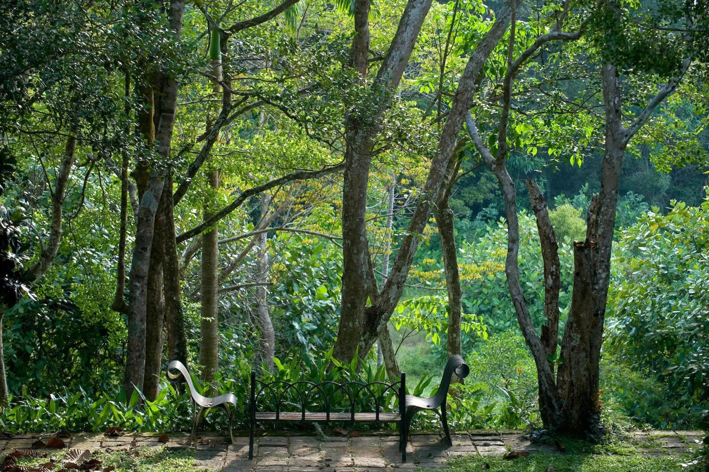 Natural landscape in Lunuganga Estate