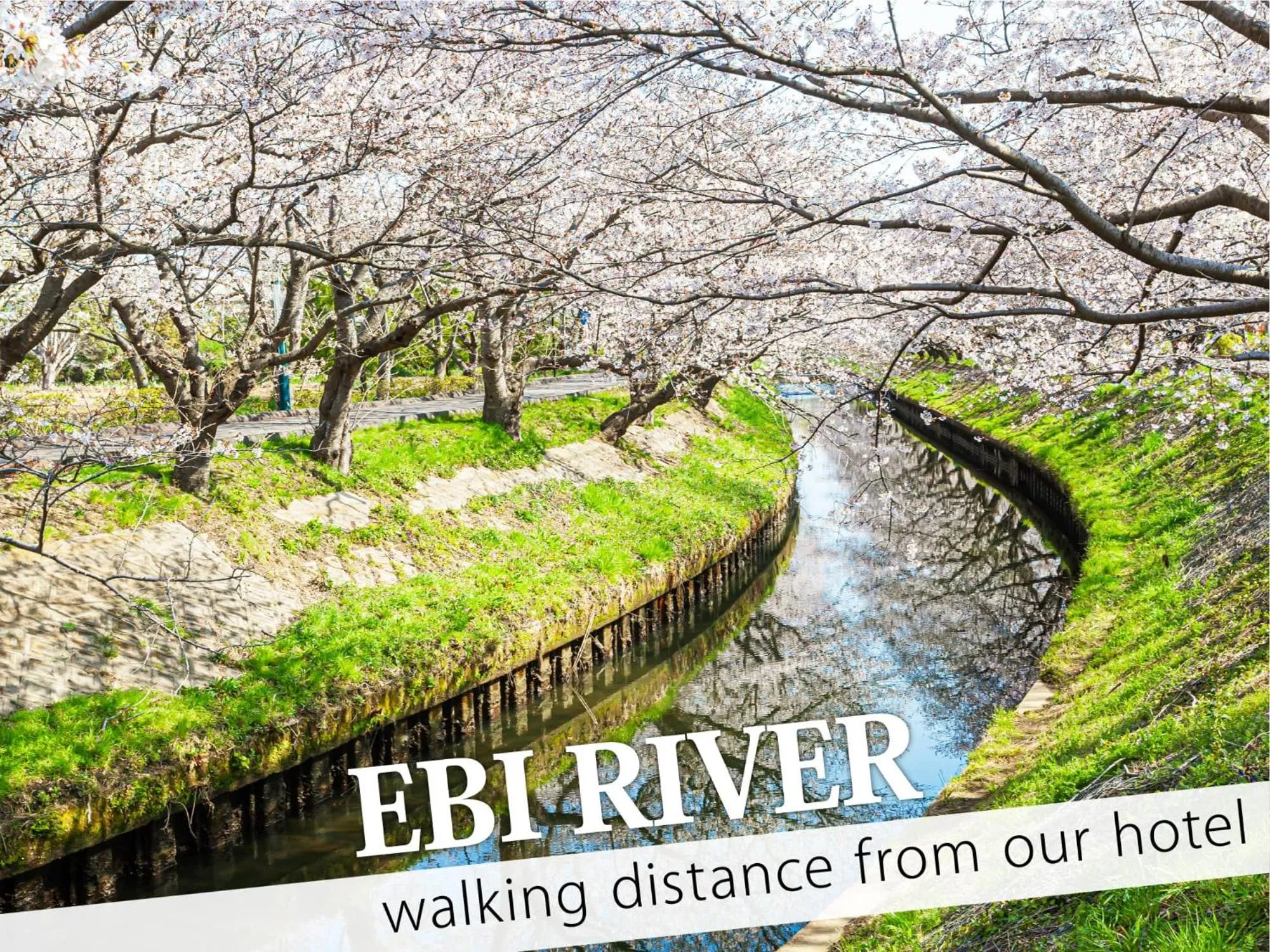 Nearby landmark in HOTEL 31