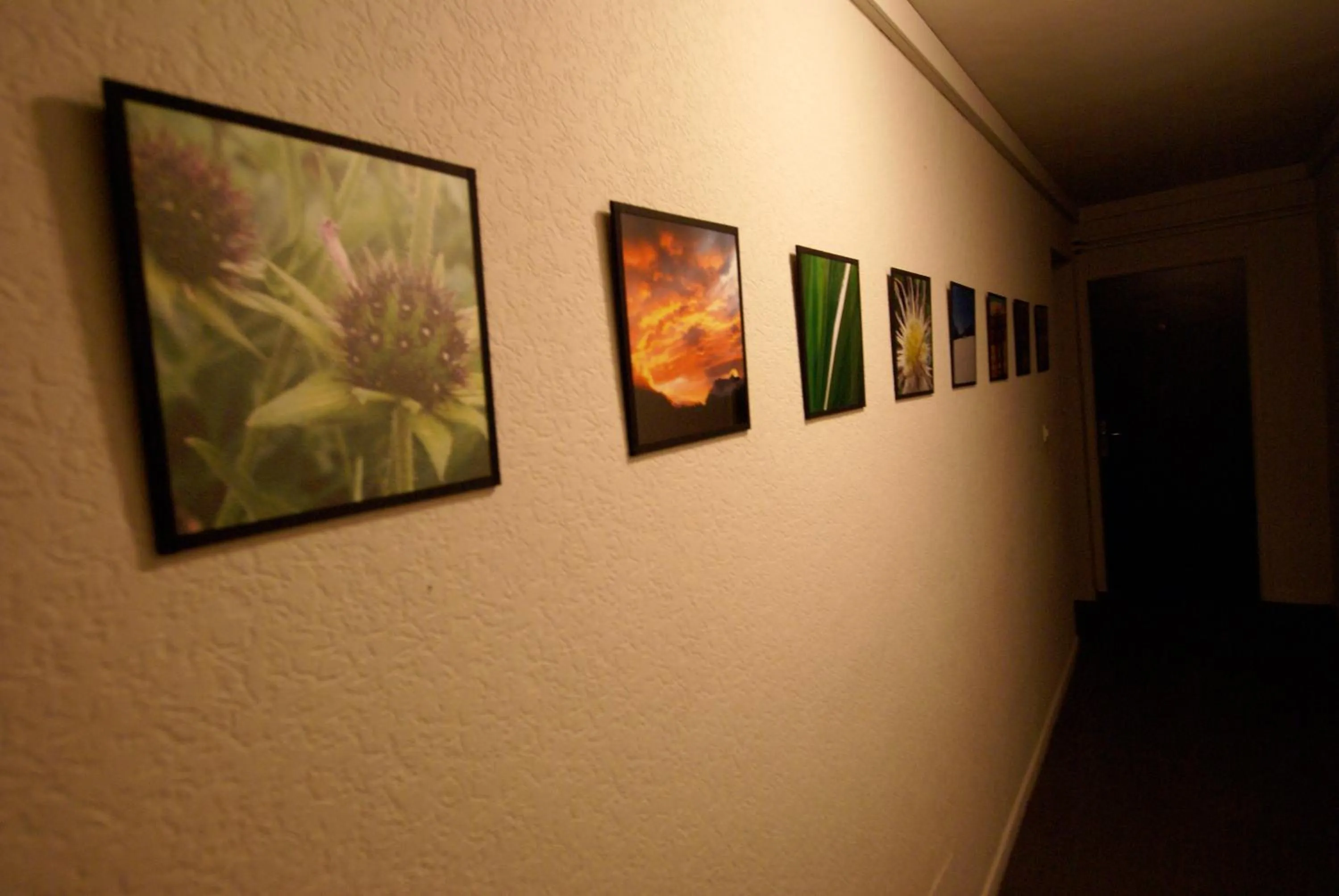 Decorative detail in Hotel de la Placette Barcelonnette