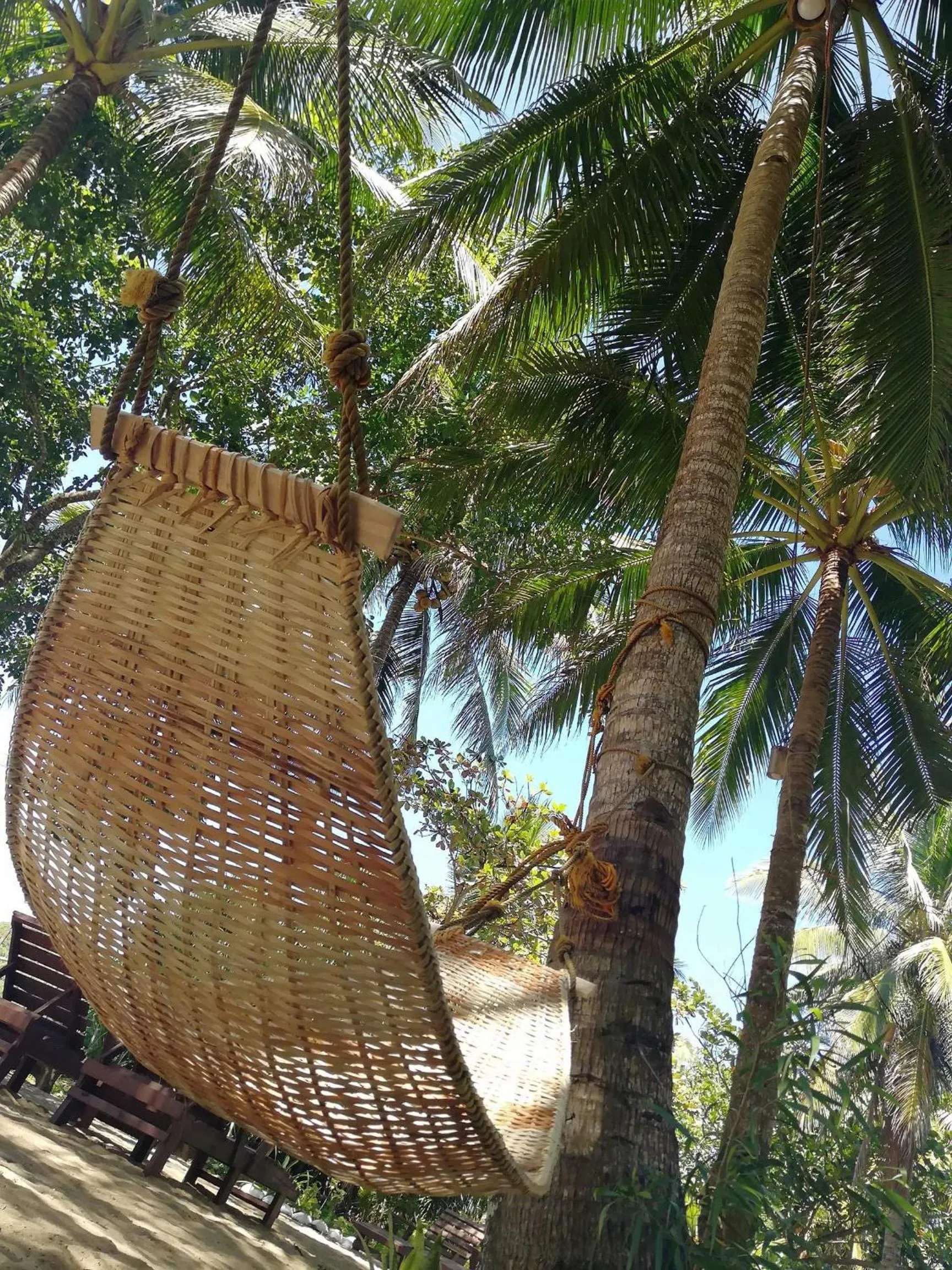 Natural landscape in Big BamBoo Beach Resort Sipalay