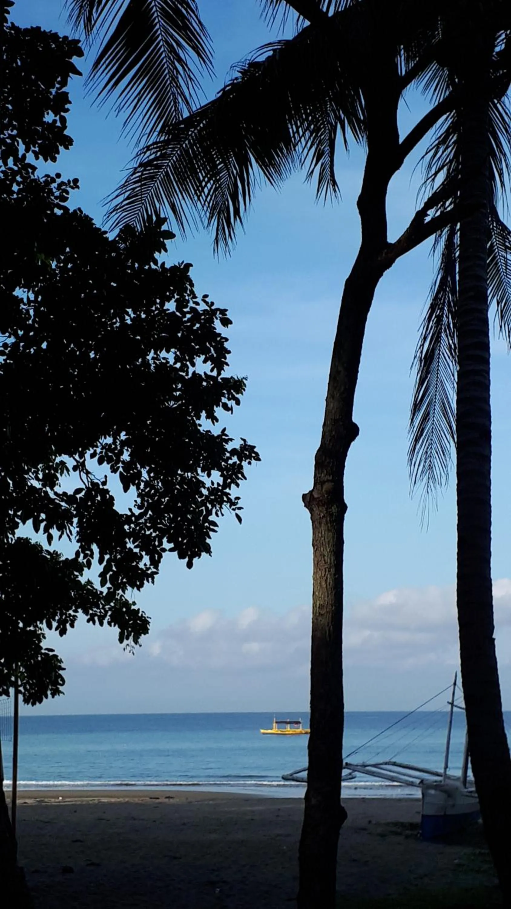 Beach in Big BamBoo Beach Resort Sipalay