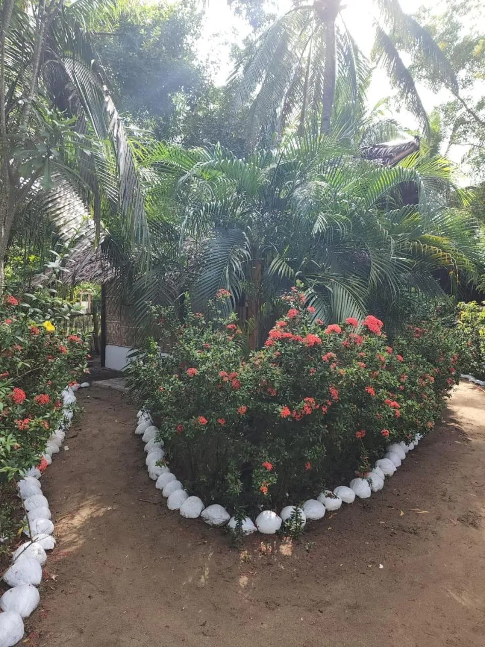 Property building in Big BamBoo Beach Resort Sipalay