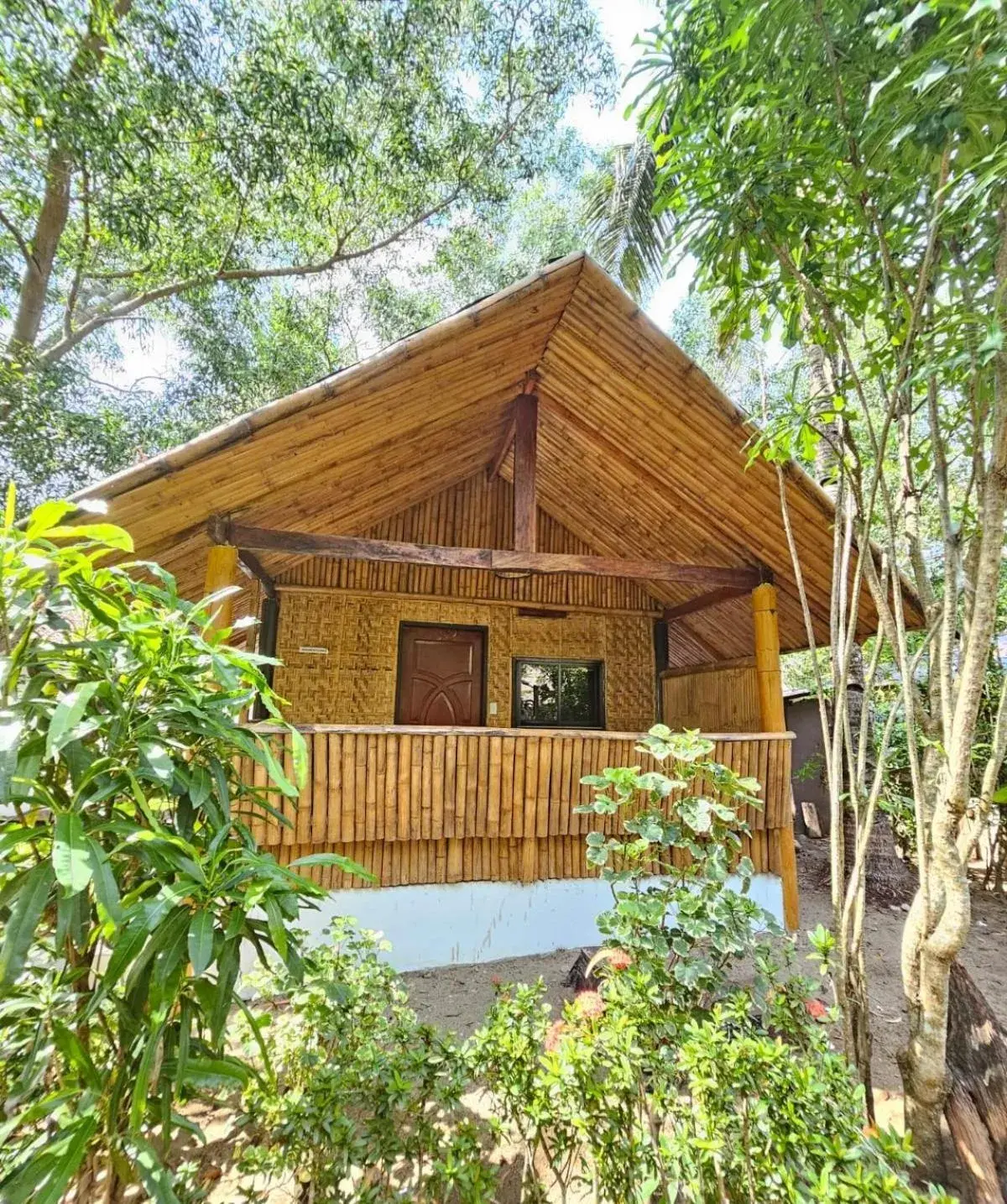 Double Room with Private Bathroom in Big BamBoo Beach Resort Sipalay Double Room with Private Bathroom in Big BamBoo Beach Resort Sipalay