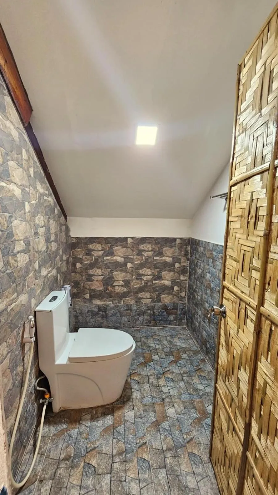 Toilet in Big BamBoo Beach Resort Sipalay
