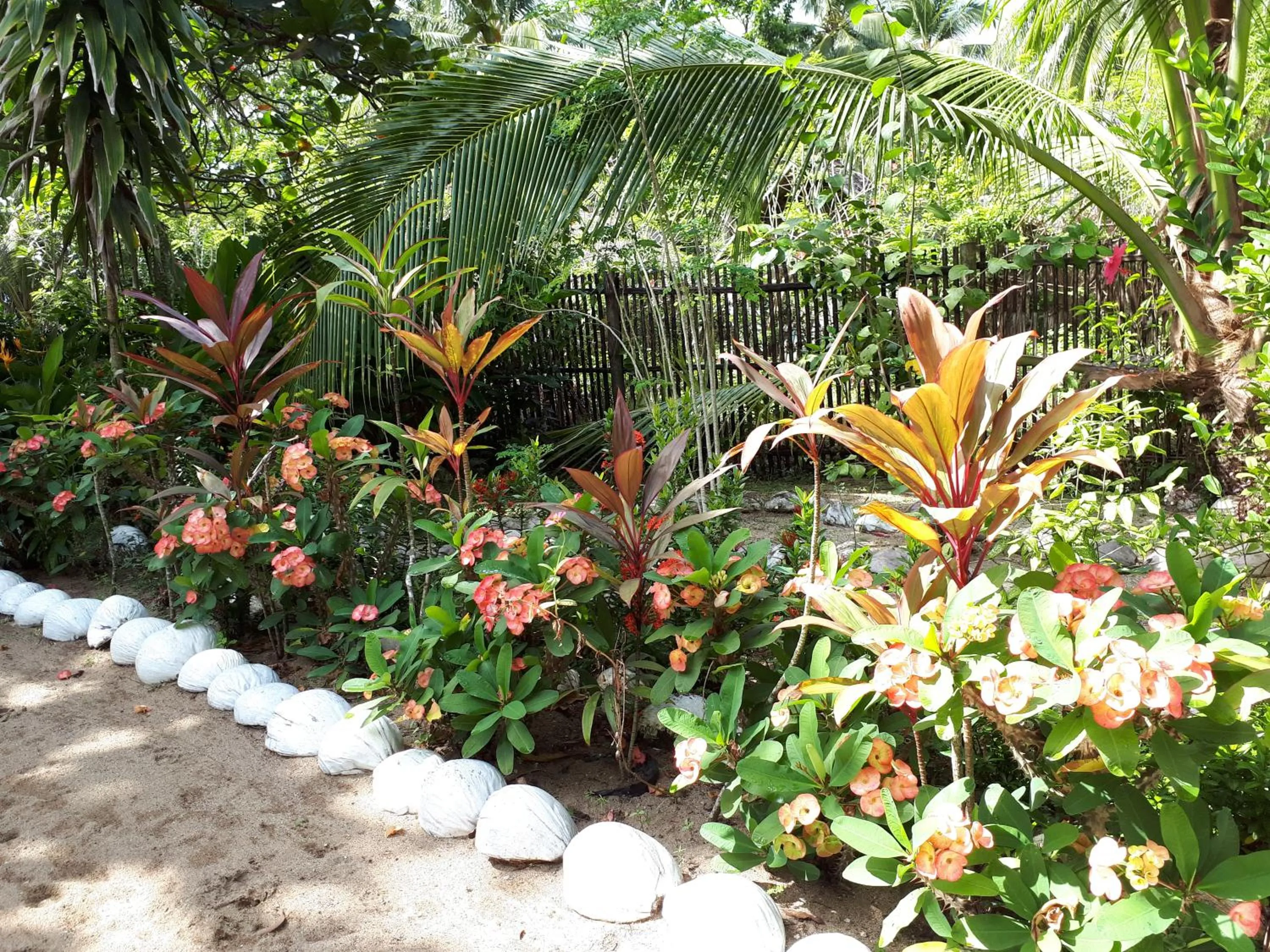Garden in Big BamBoo Beach Resort Sipalay
