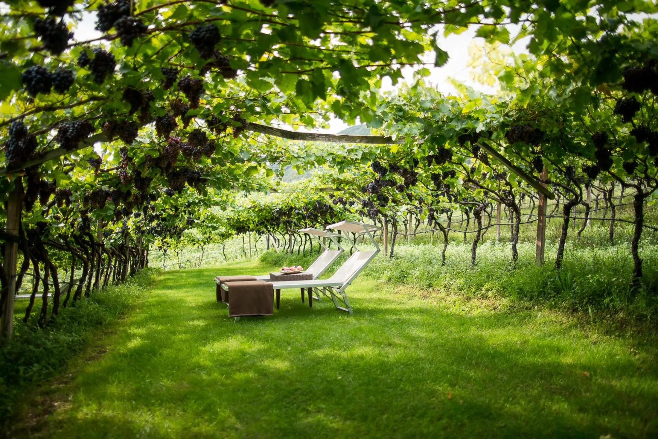 Property building in Hotel Haus am Hang