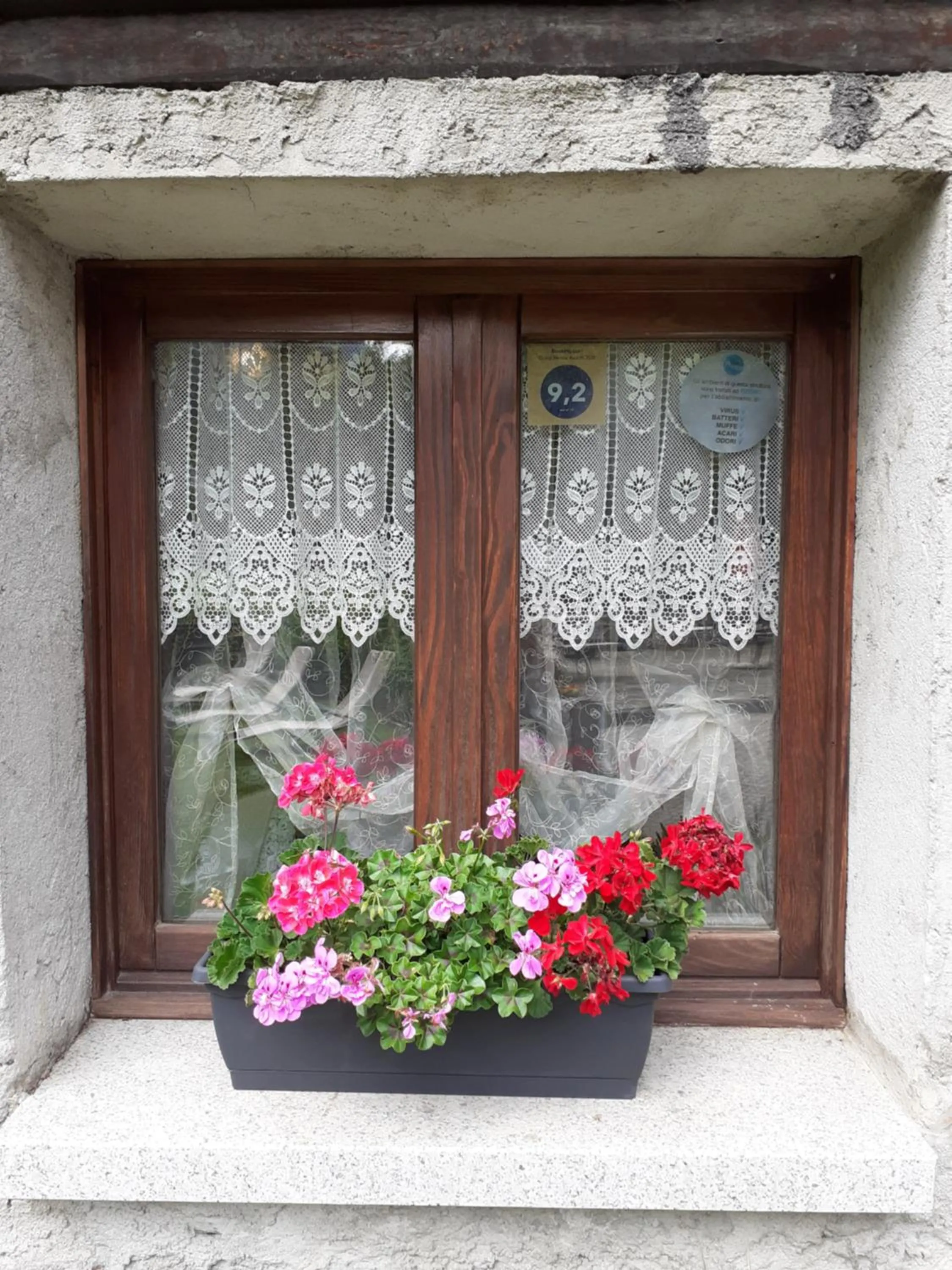 Facade/entrance in Soggiorno Vacanze Stella Alpina