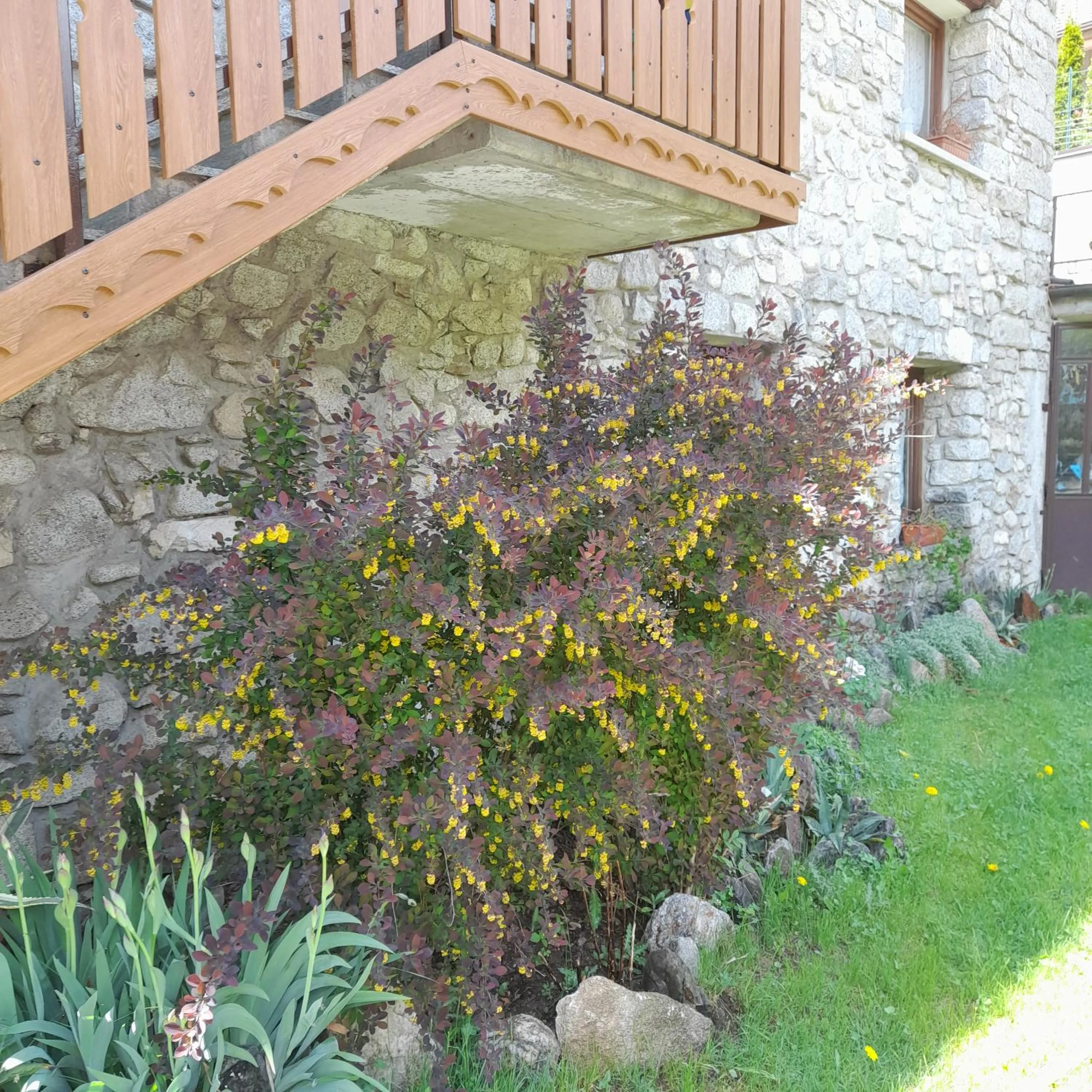 Garden in Soggiorno Vacanze Stella Alpina