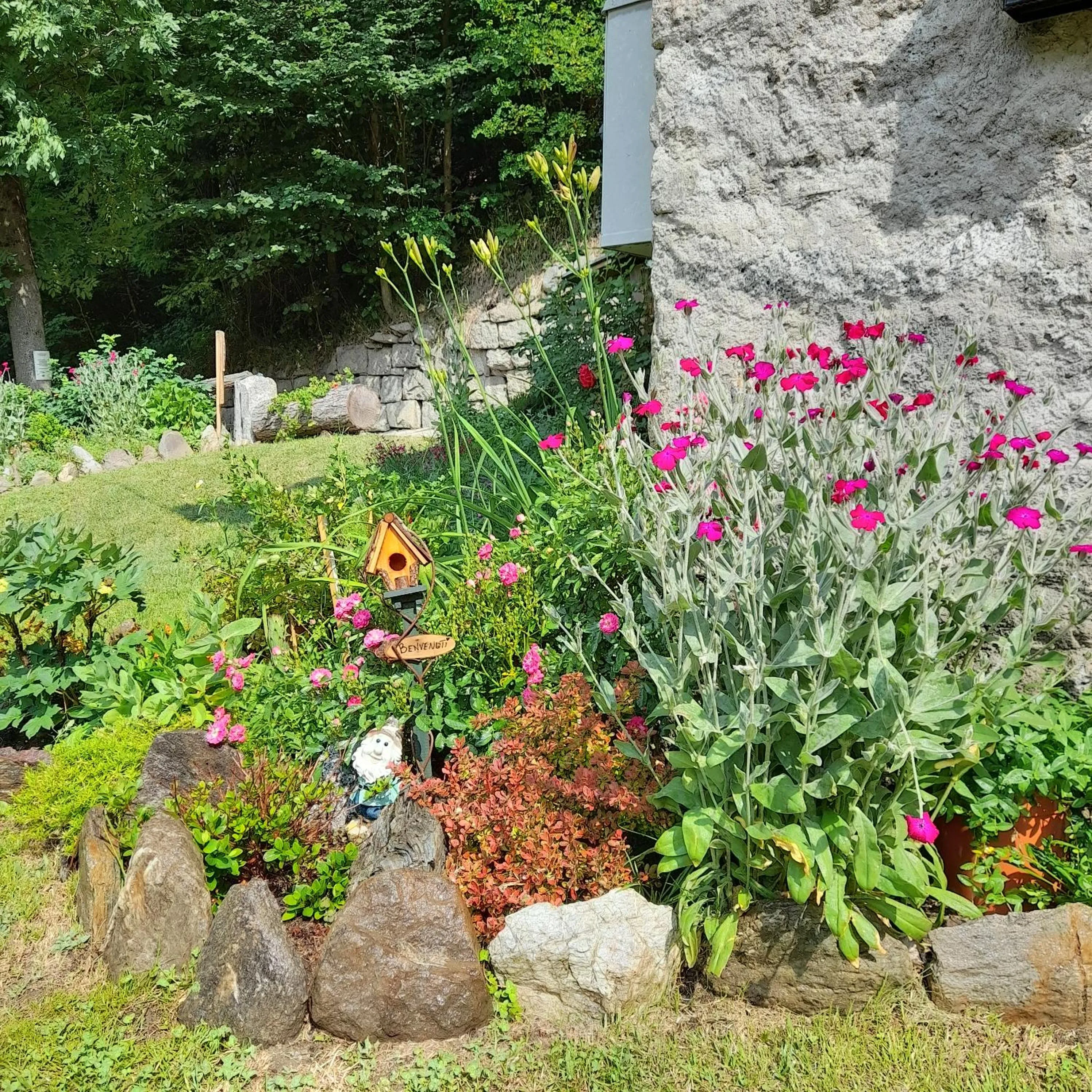 Garden in Soggiorno Vacanze Stella Alpina