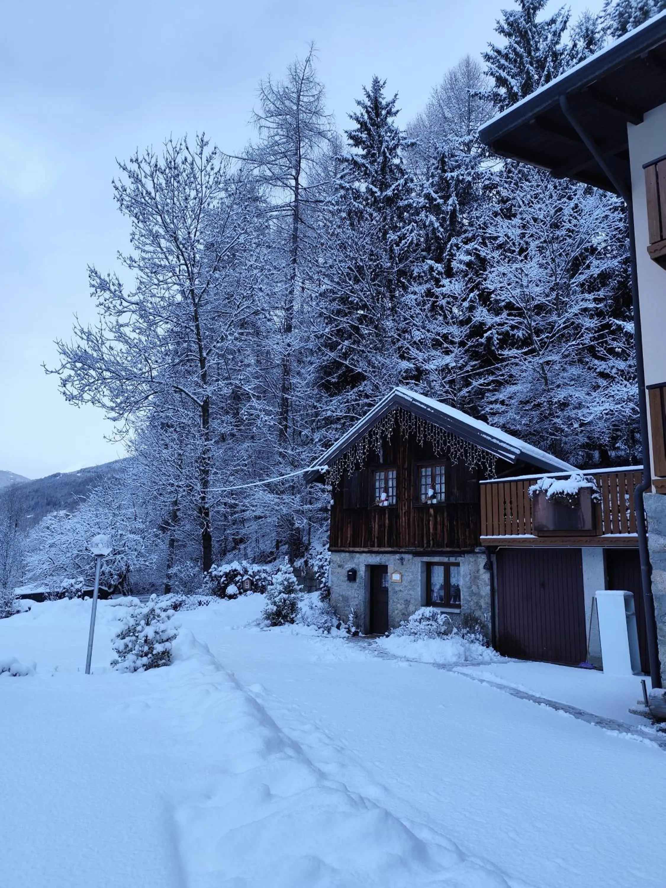 Soggiorno Vacanze Stella Alpina