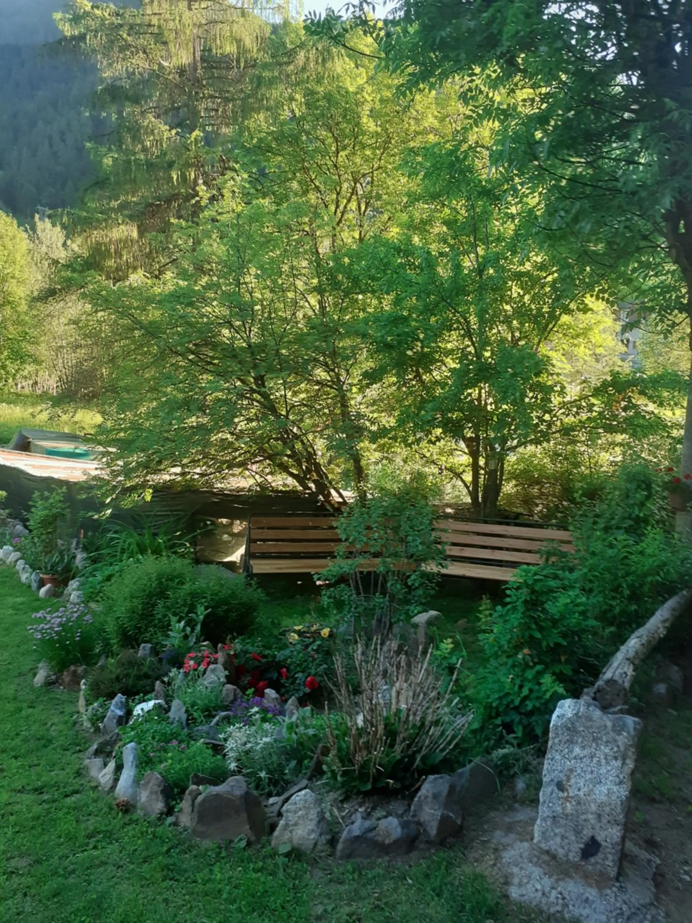 Garden in Soggiorno Vacanze Stella Alpina