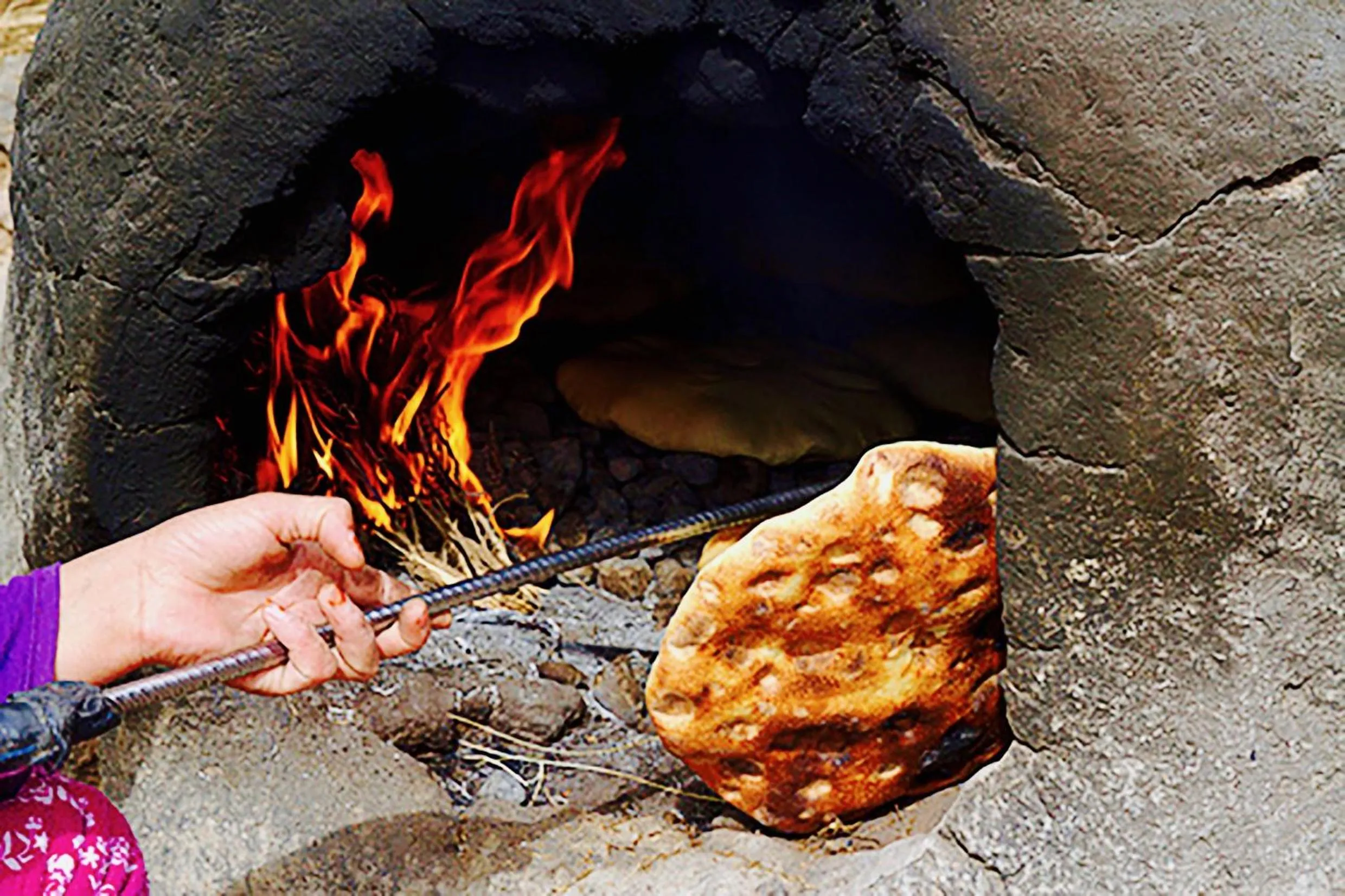 Activities in Dar Mouna