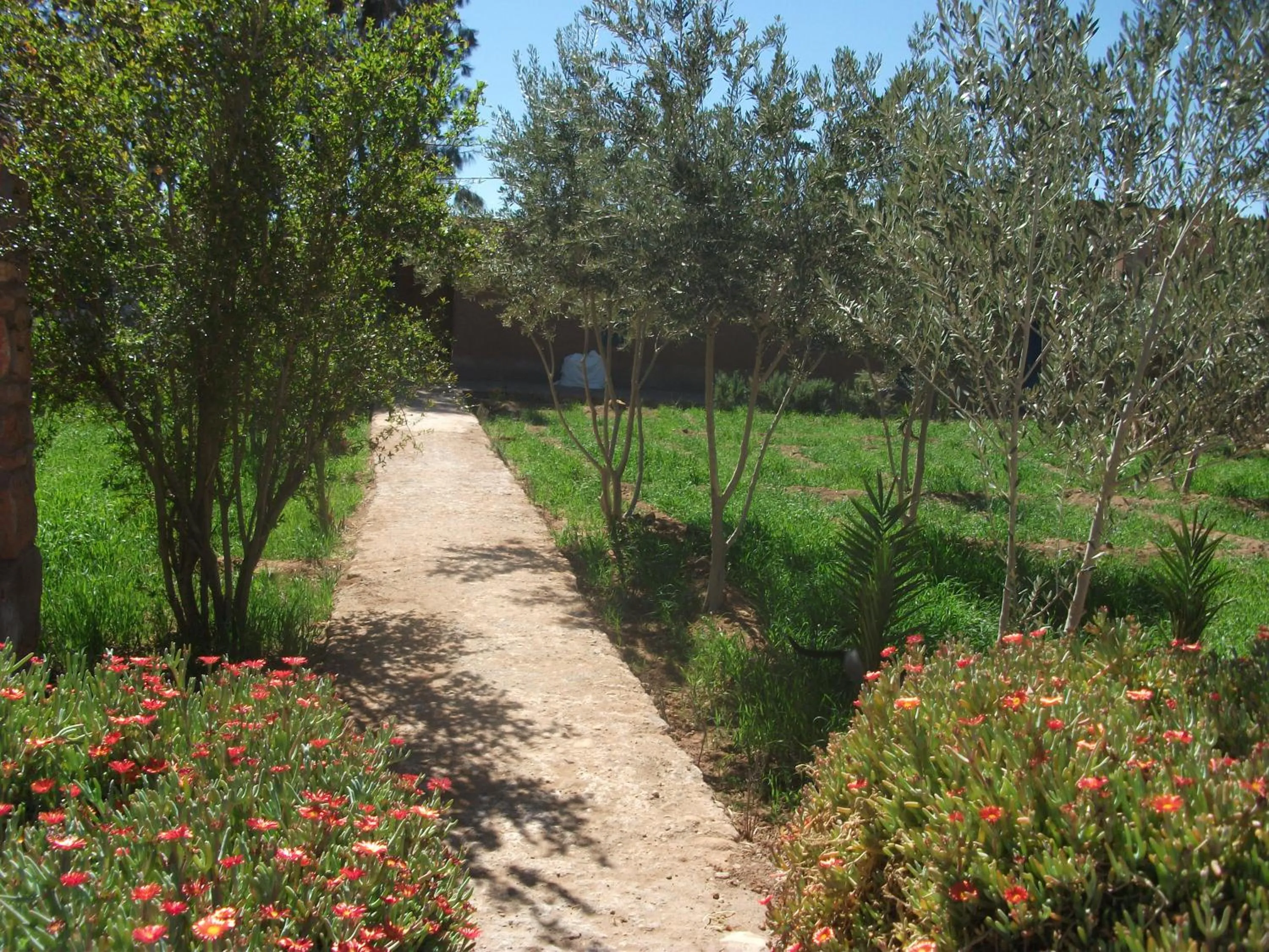Garden in Dar Mouna