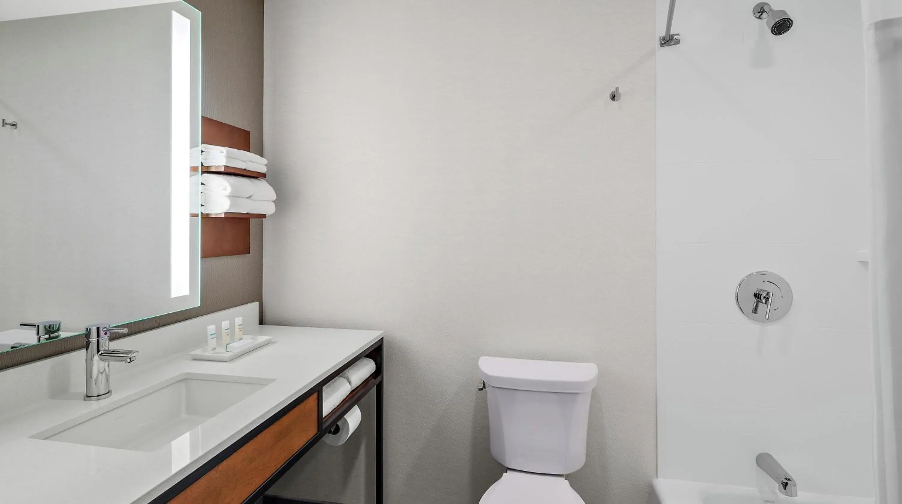 Bathroom in Hilton Garden Inn Chicago McCormick Place Bathroom in Hilton Garden Inn Chicago McCormick Place