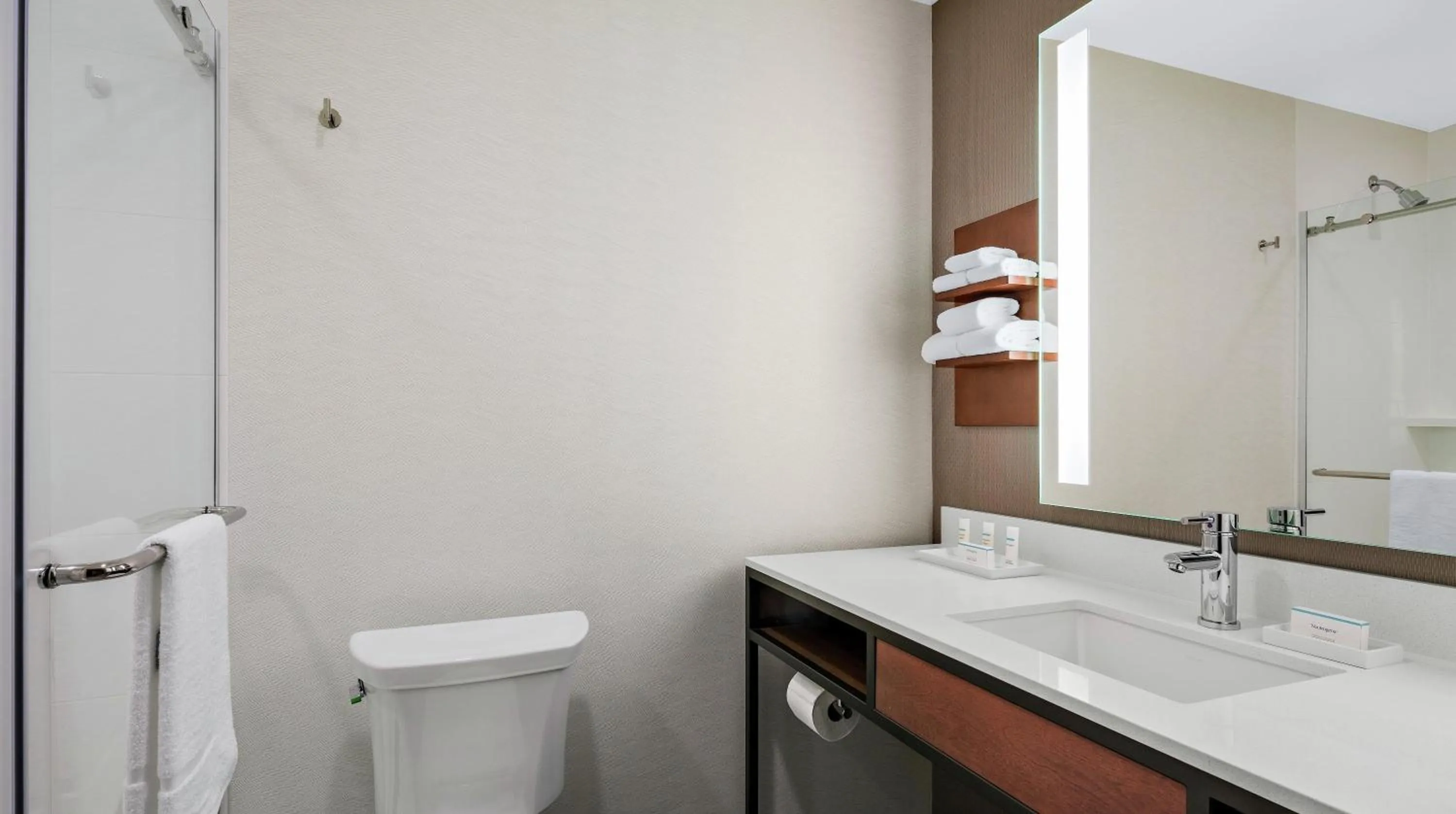 Bathroom in Hilton Garden Inn Chicago McCormick Place