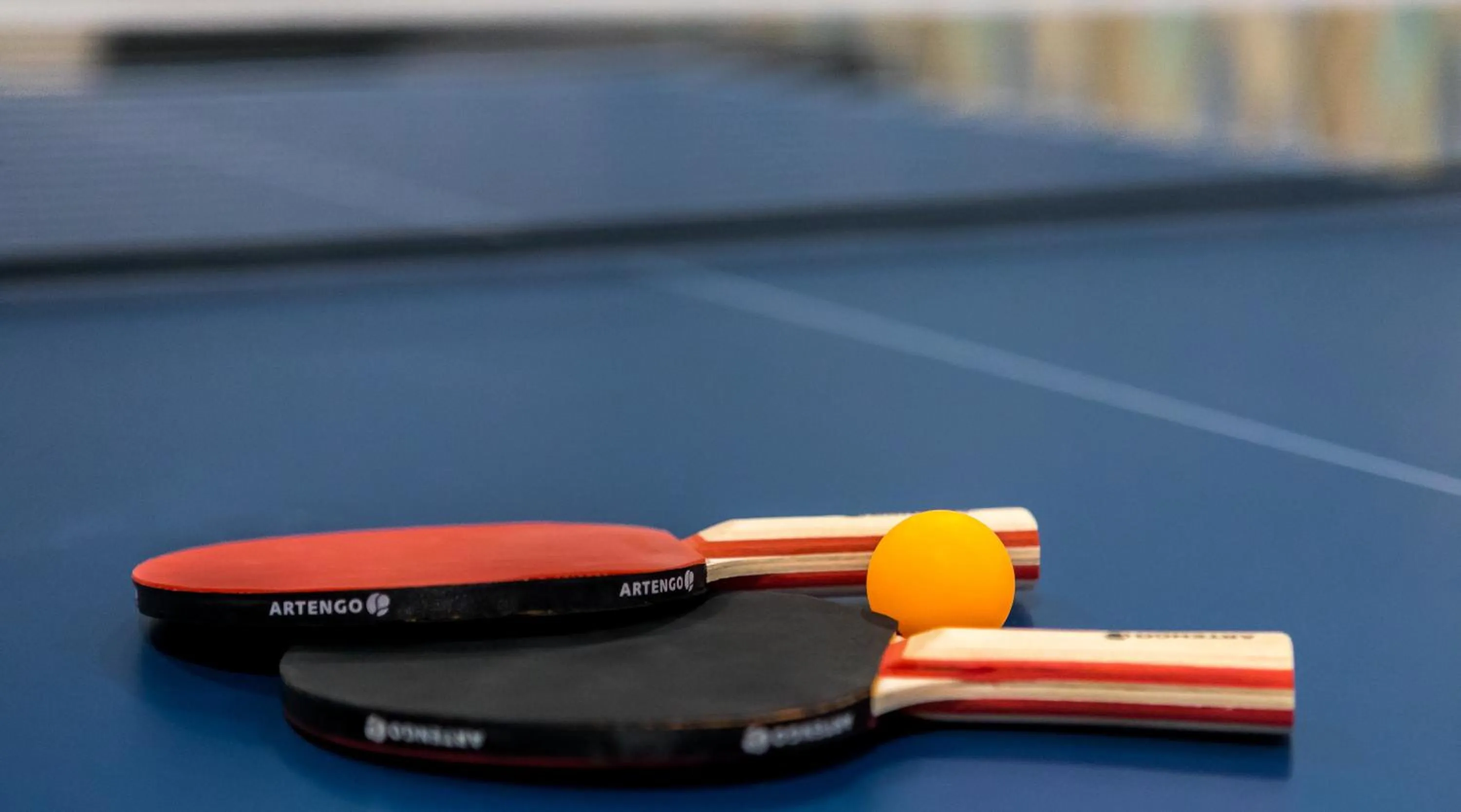 Table tennis in Vistula Boutique Exclusive Apartments