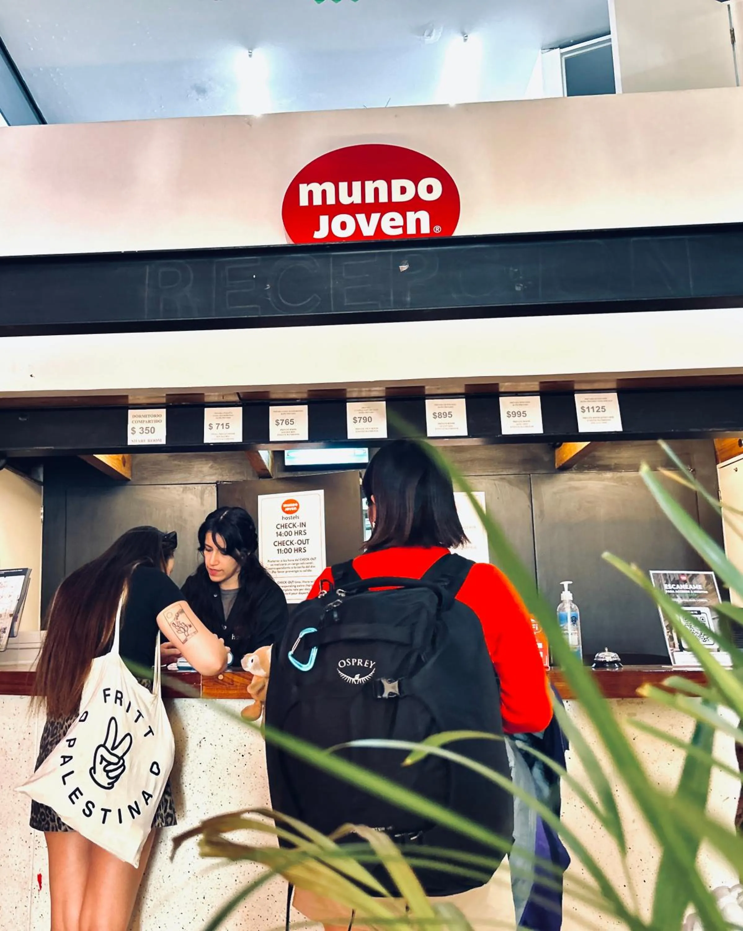 Lobby or reception in Hostel Mundo Joven Catedral