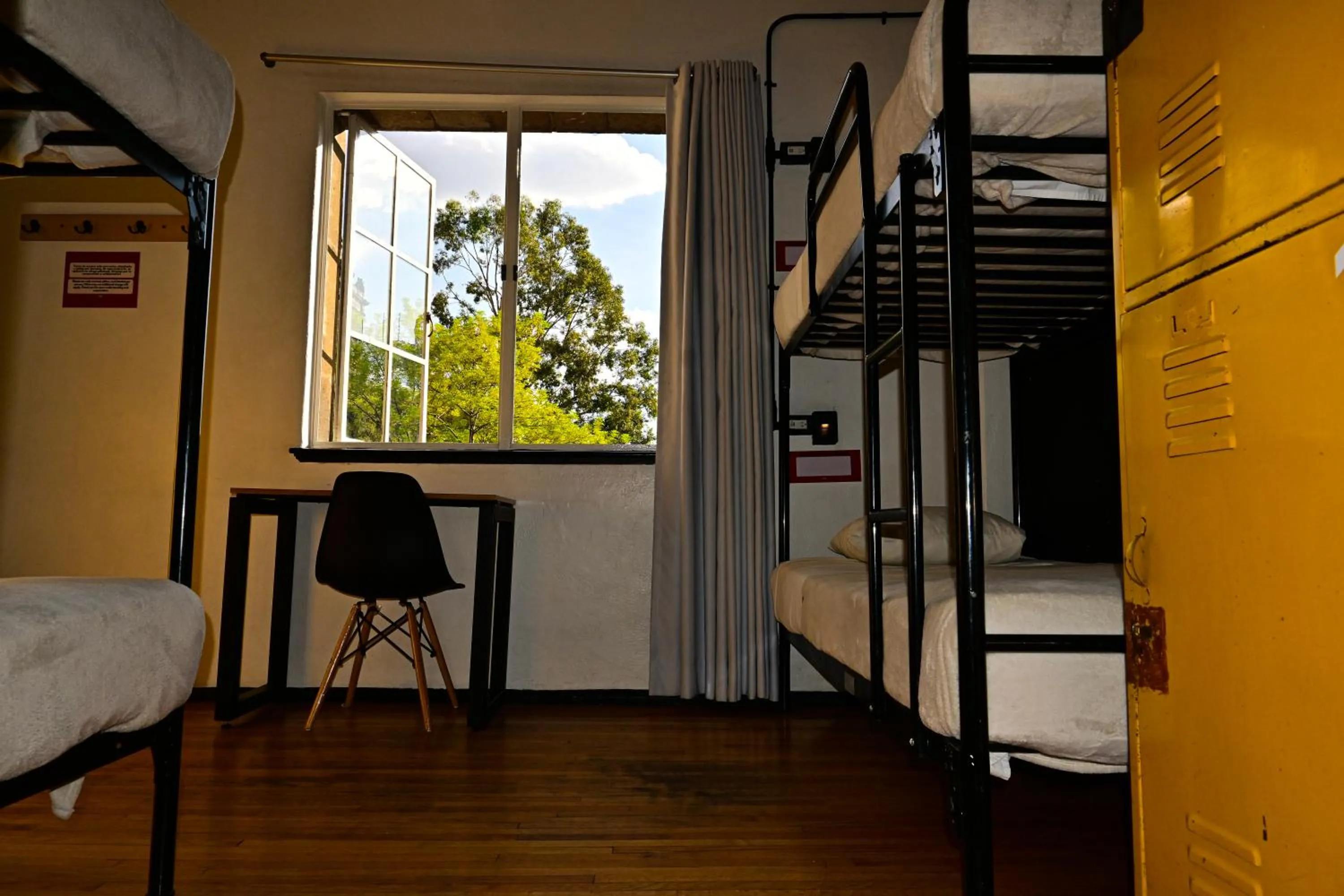 Photo of the whole room in Hostel Mundo Joven Catedral