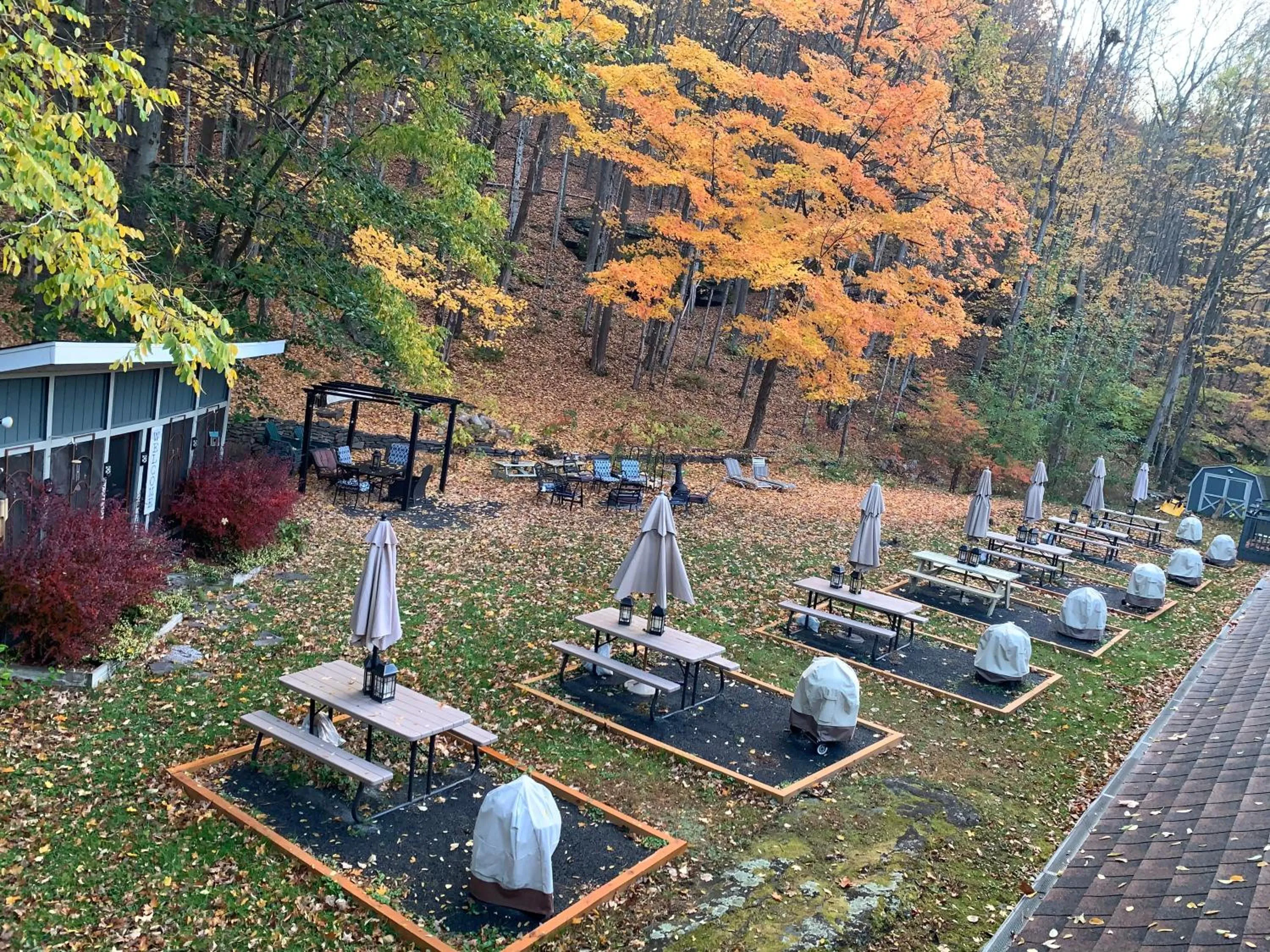 Starlite Motel & Suites