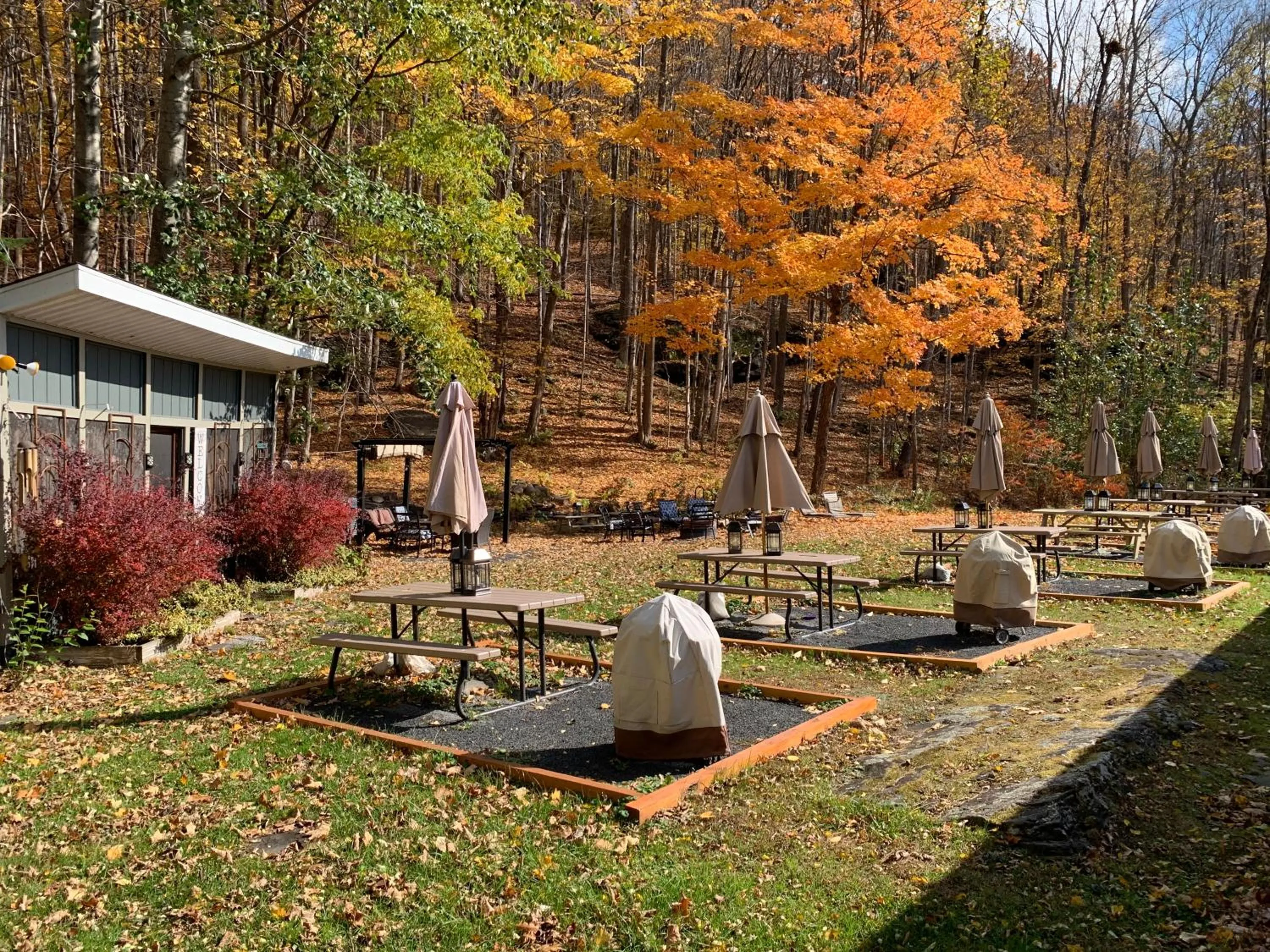 Starlite Motel & Suites