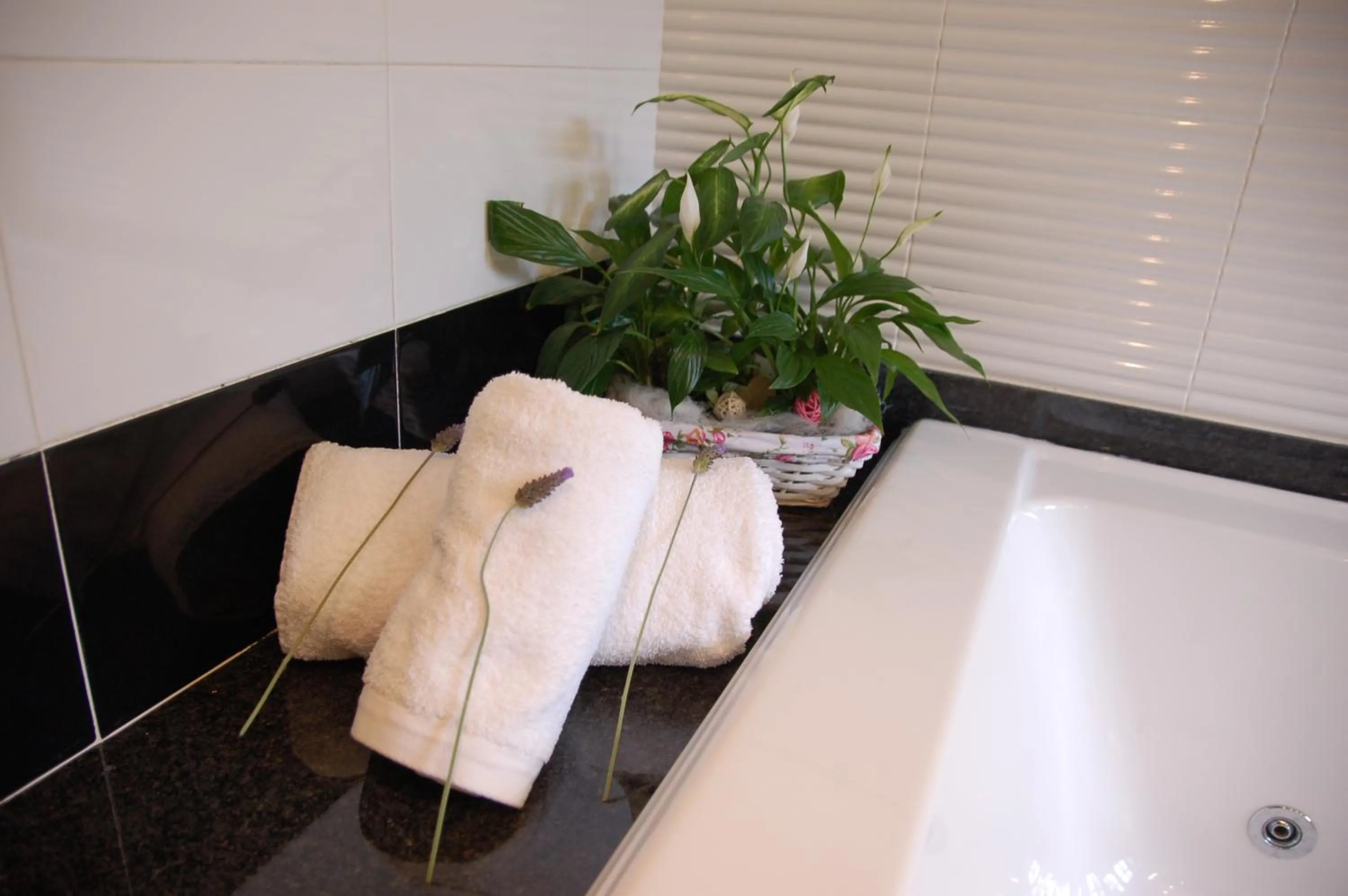 Bathroom in Petit CostaBravaSi