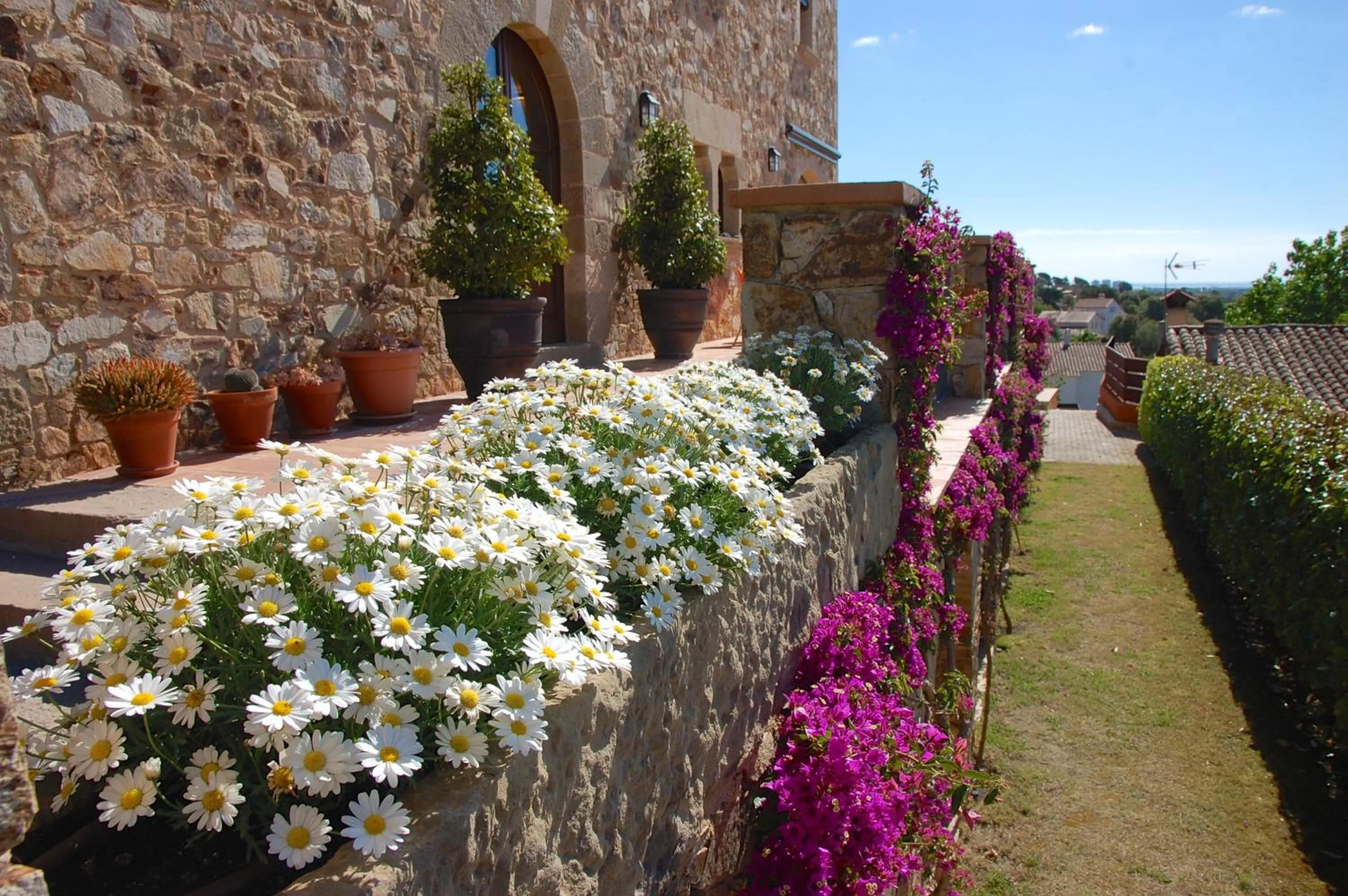 Garden in Petit CostaBravaSi
