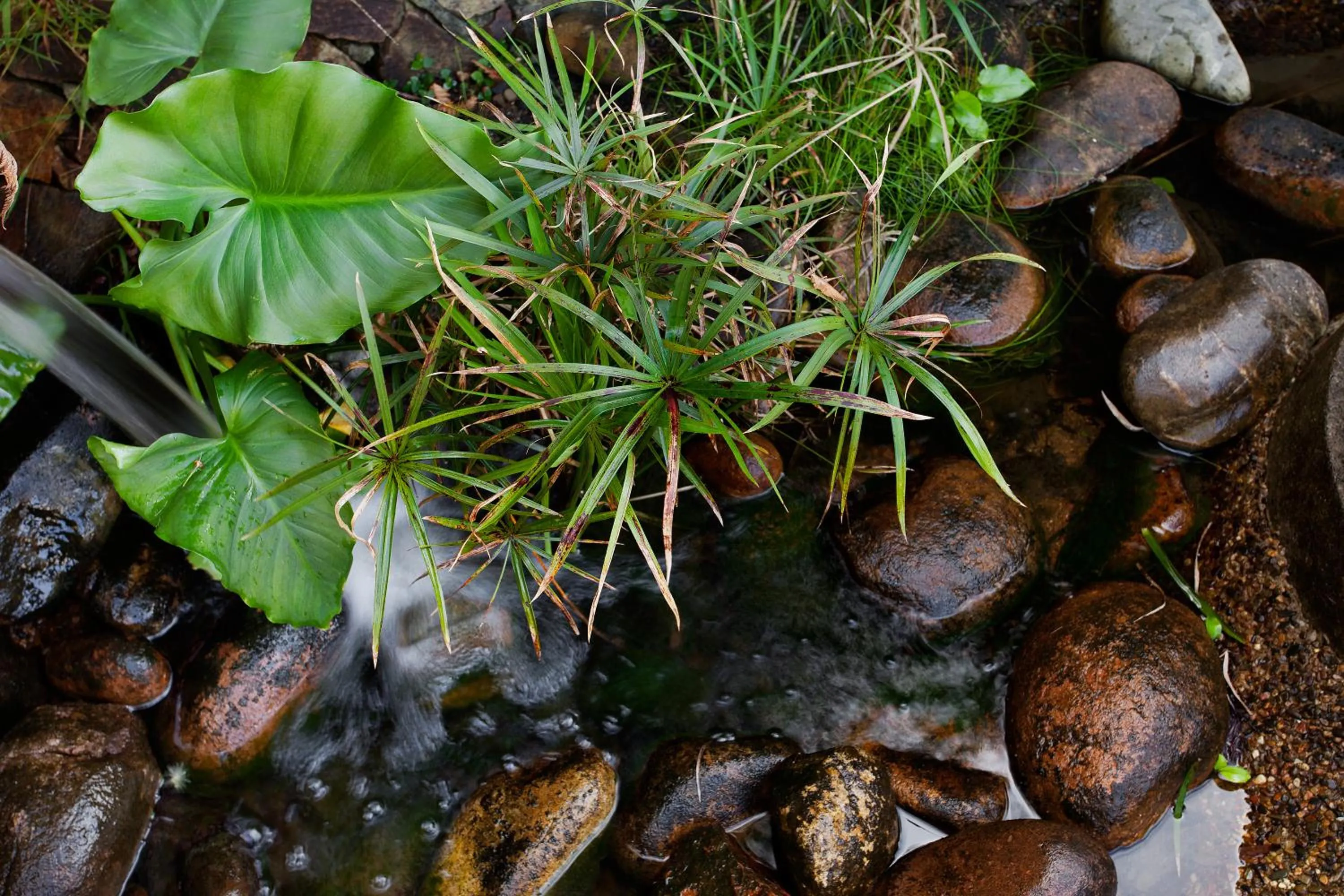 Other in Tathra Beach House Holiday Apartments