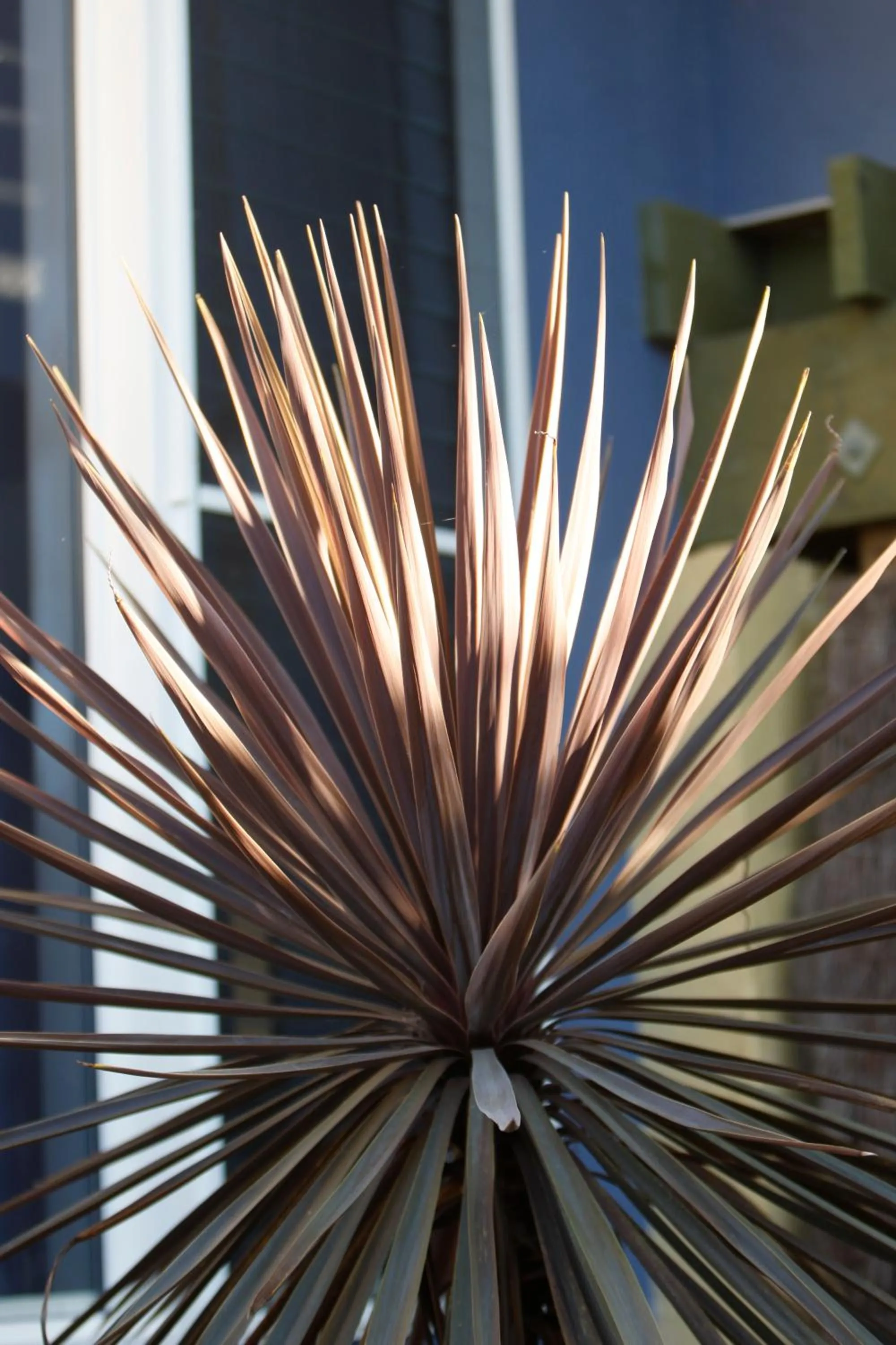 Other in Tathra Beach House Holiday Apartments