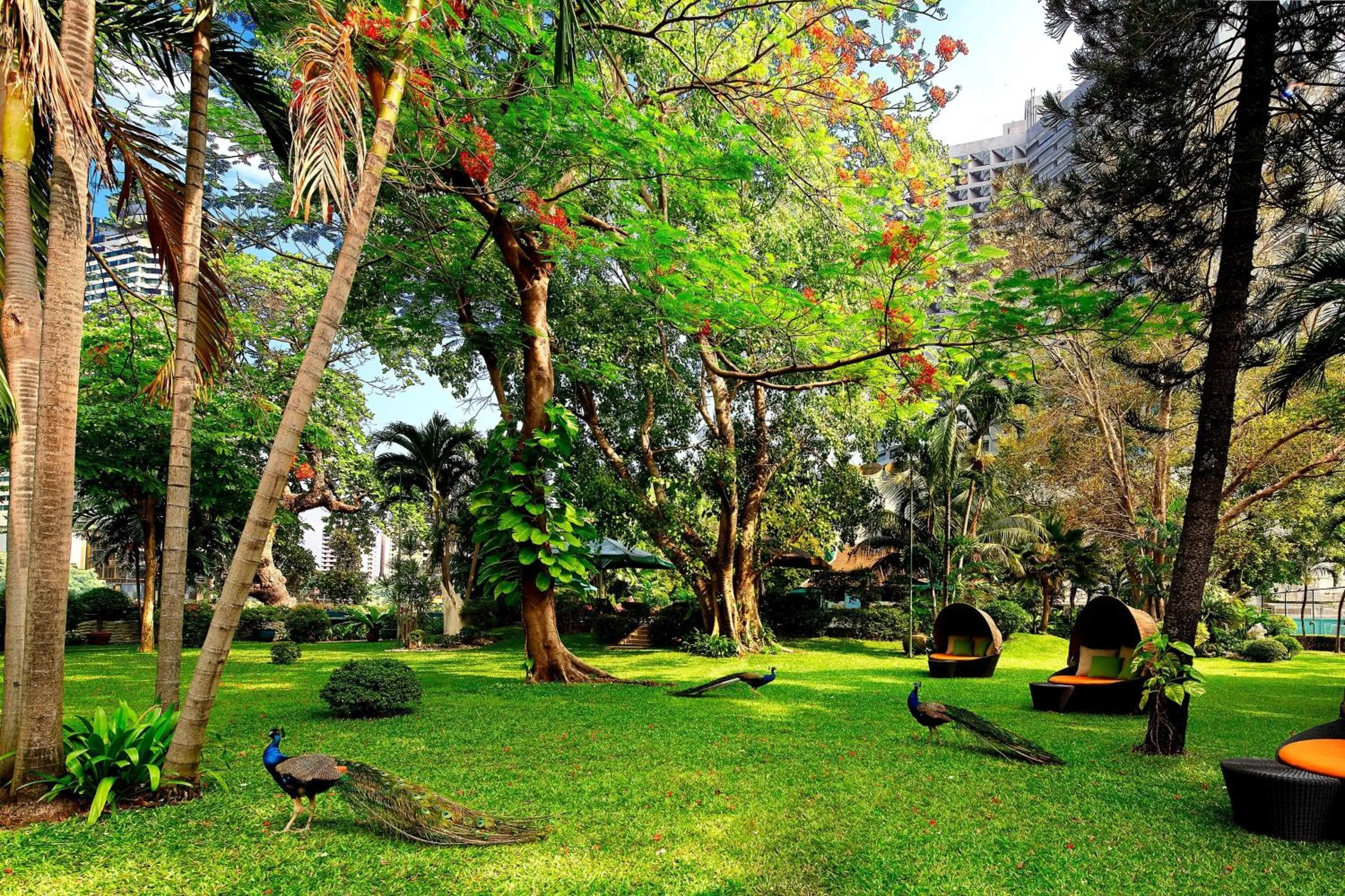 View (from property/room) in Royal Orchid Sheraton Riverside Hotel Bangkok