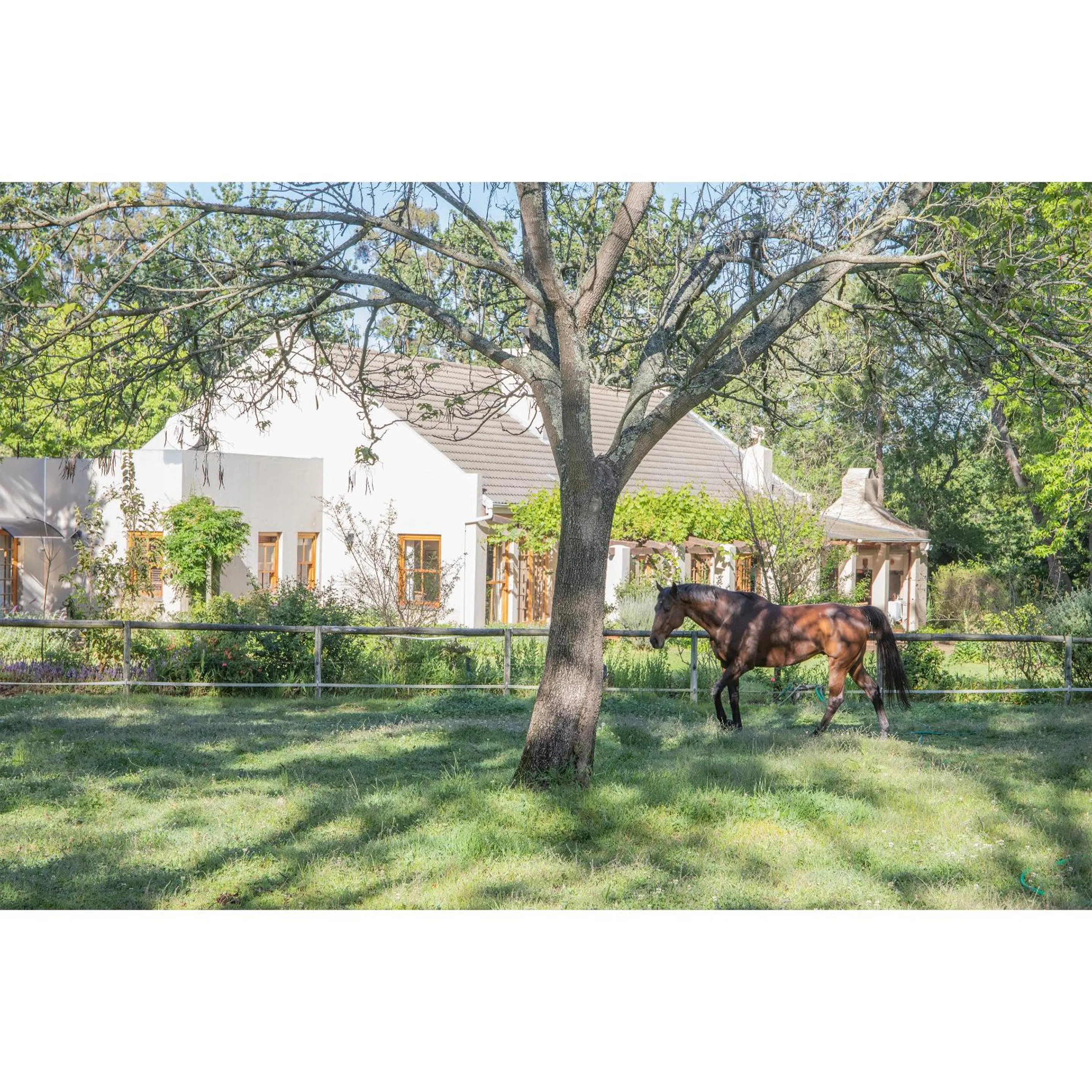 Property building in Languedoc