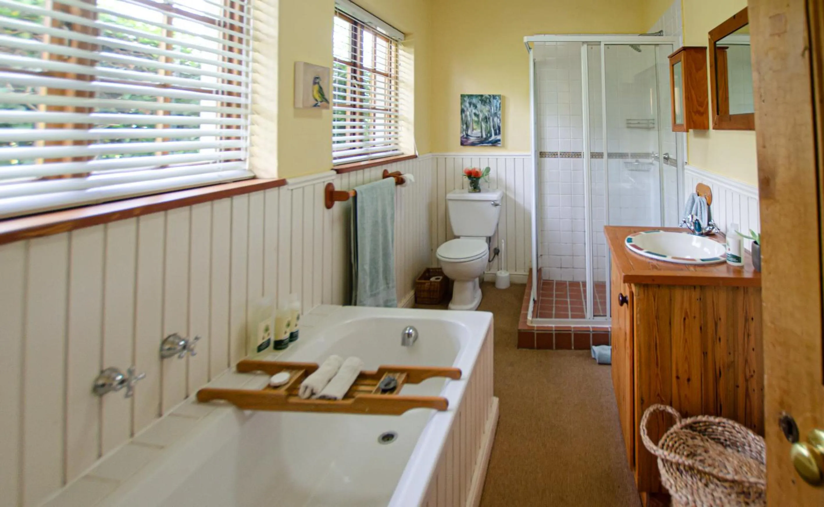 Bathroom in Languedoc