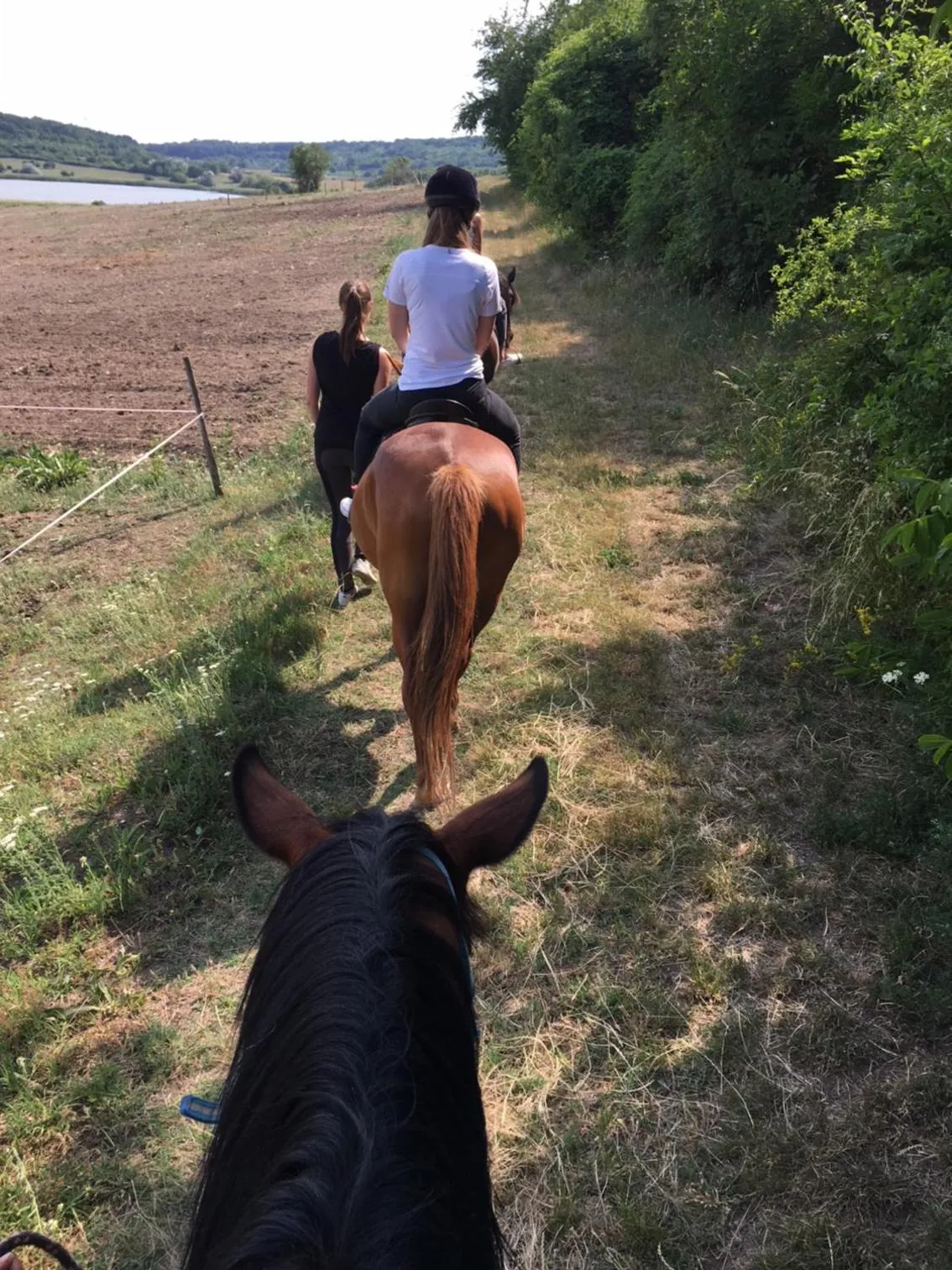 Nearby landmark in The Houses of History - anno 1830