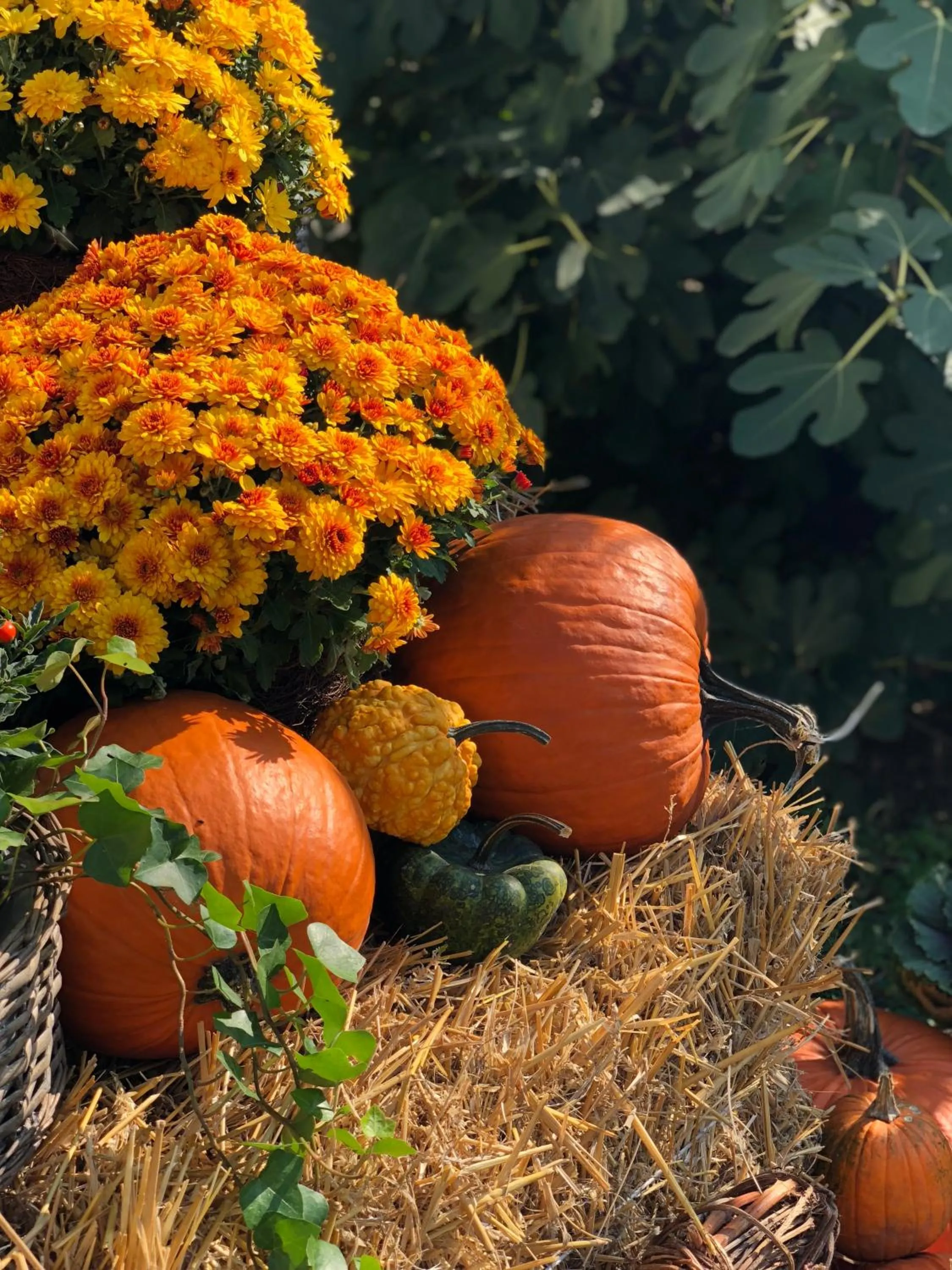 The Houses of History - anno 1830