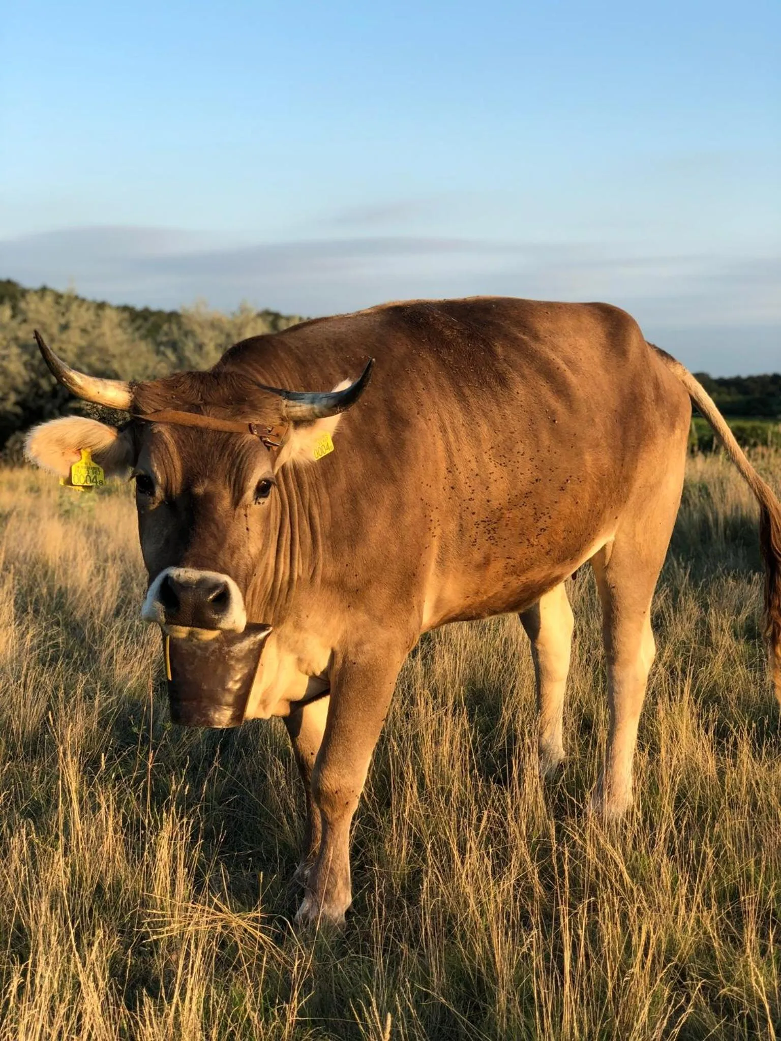 Off site in The Houses of History - anno 1830