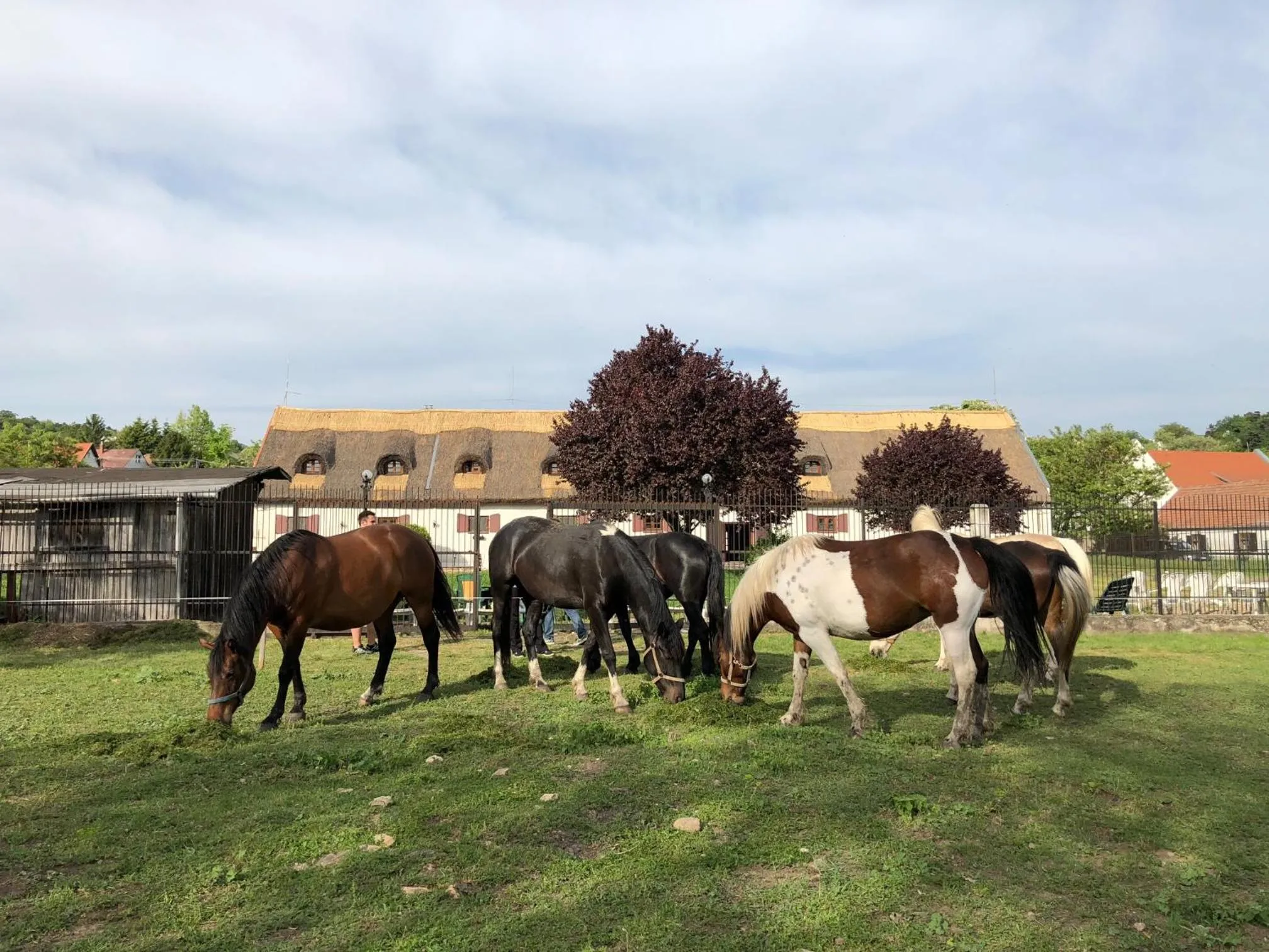 Property building in The Houses of History - anno 1830