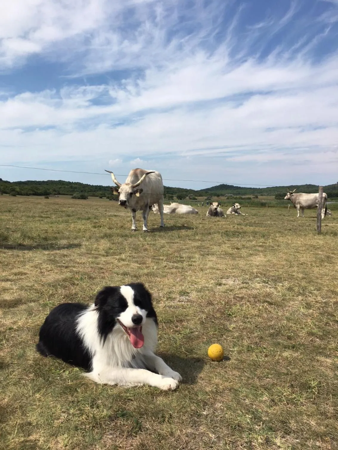 Neighbourhood in The Houses of History - anno 1830